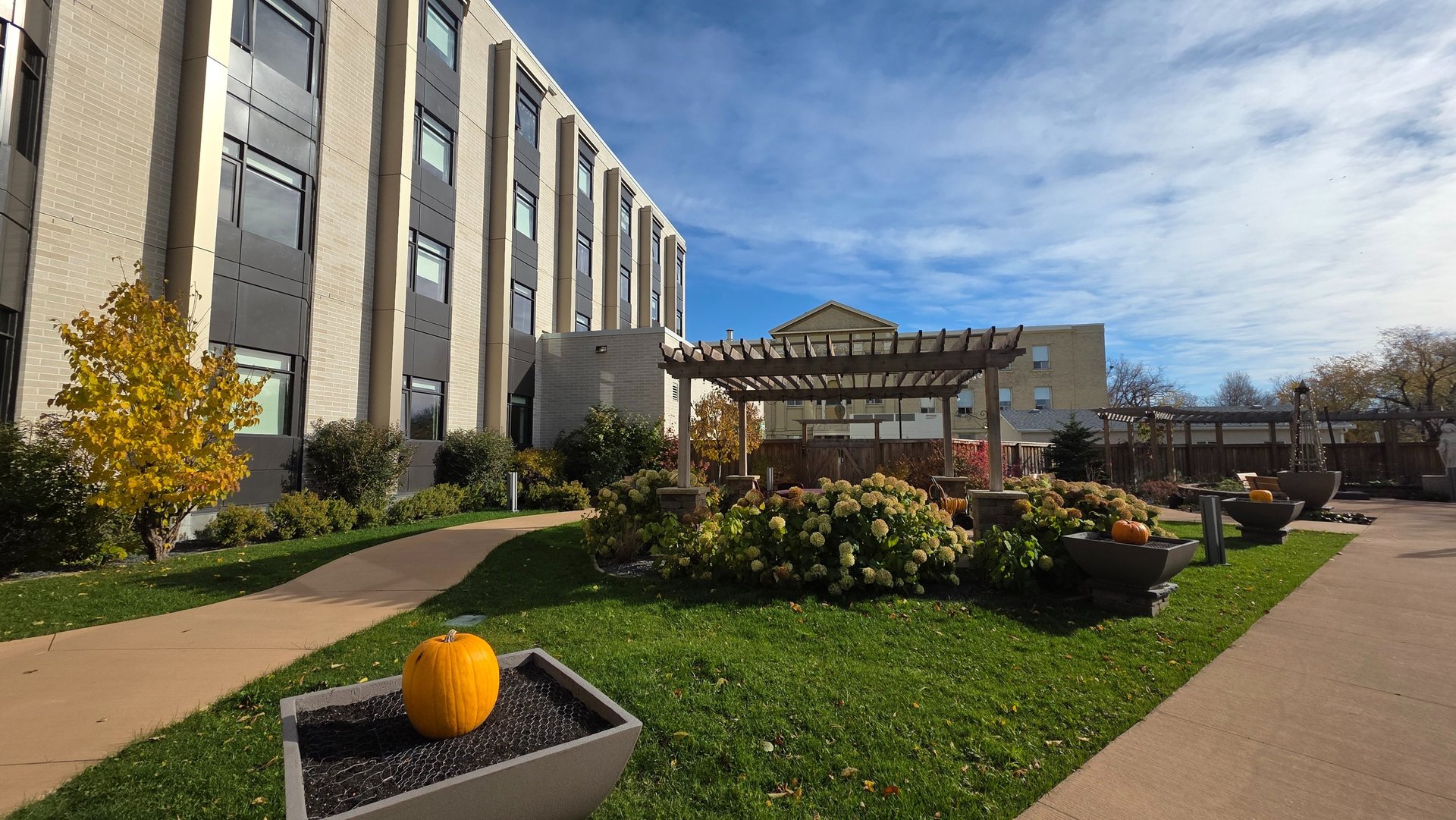 woman wearing yellow long-sleeved dress under white clouds and blue sky during daytime