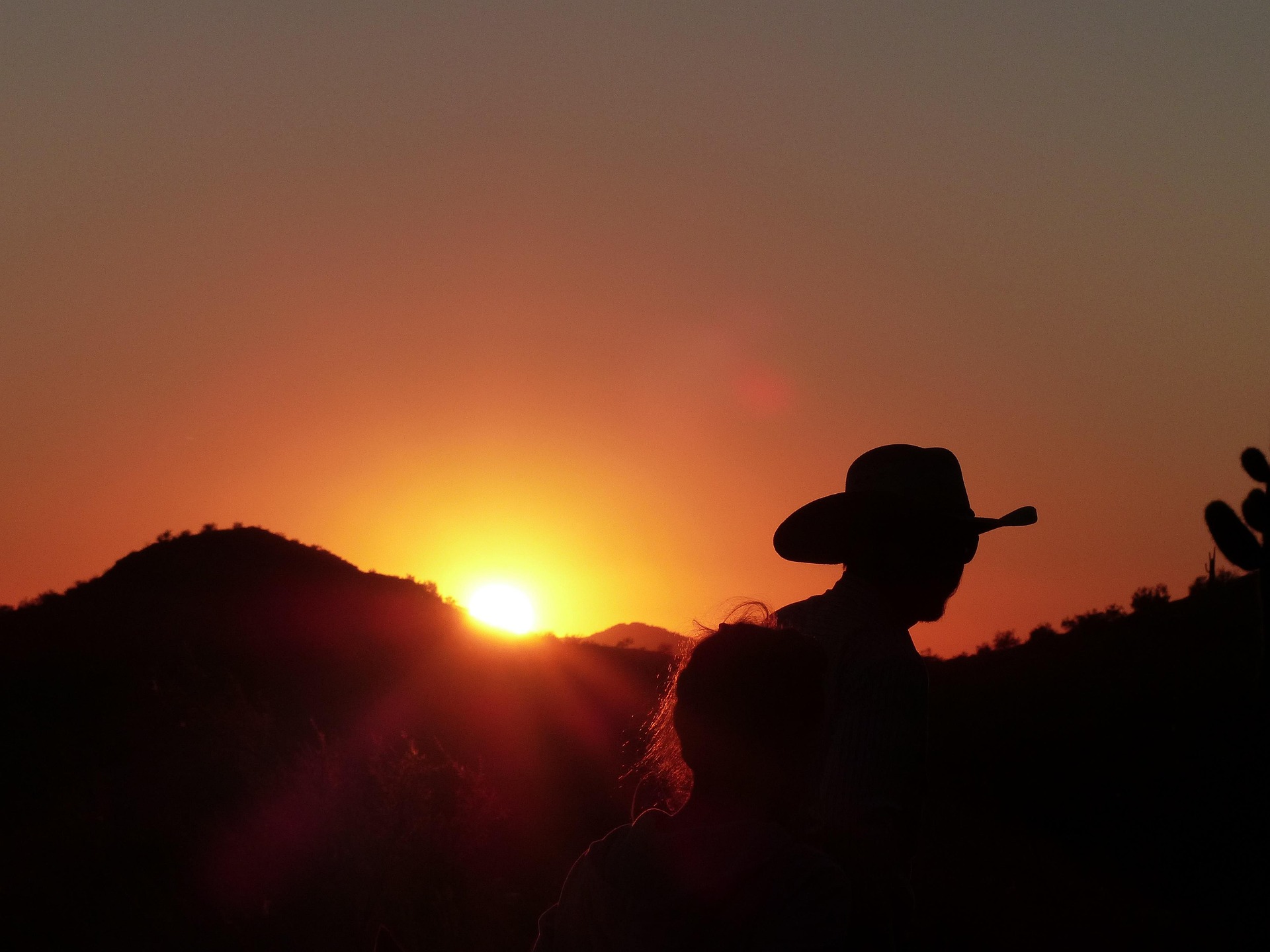 silhouette of horse on field during daytime
