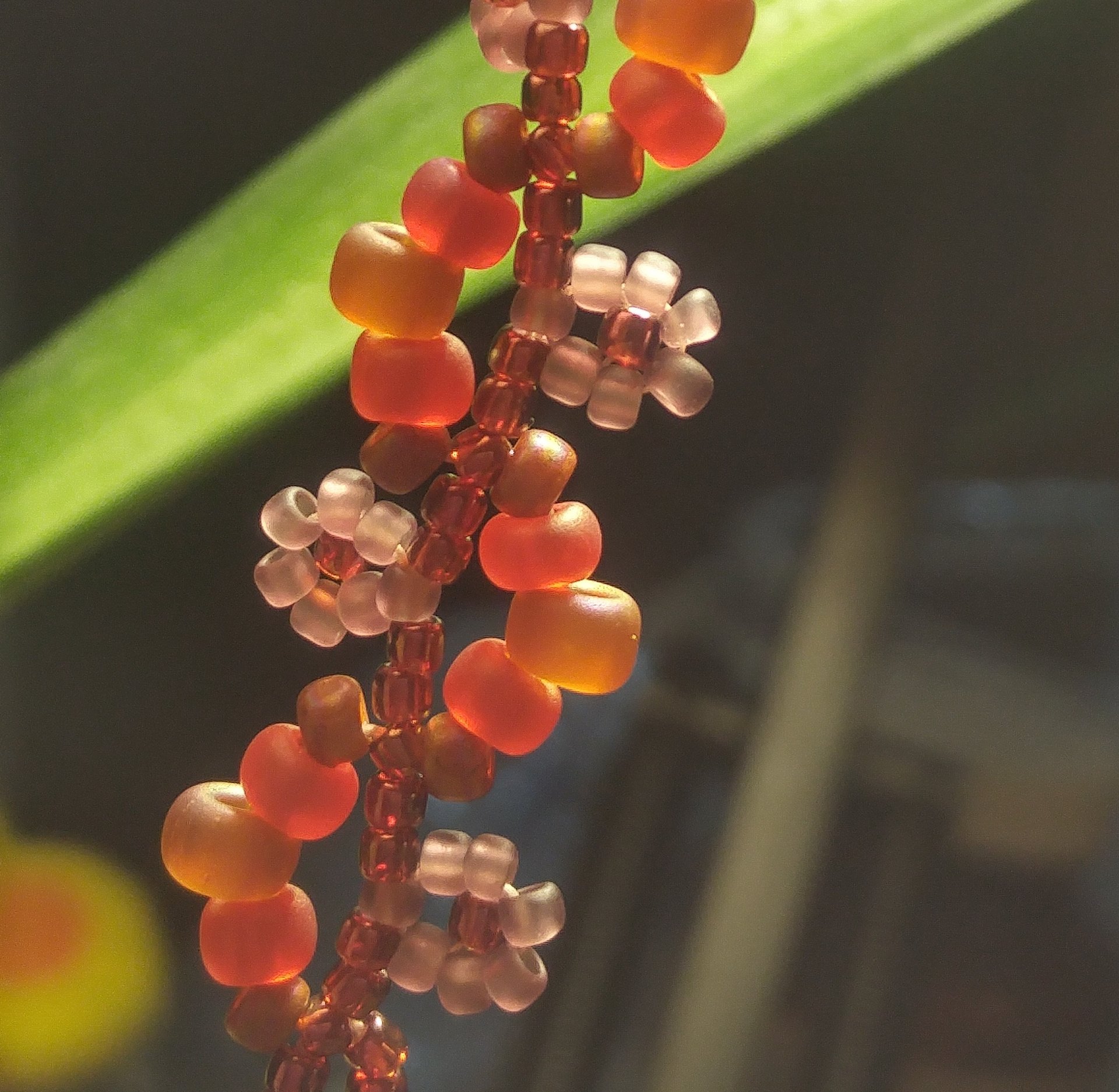 woman holding dried flower