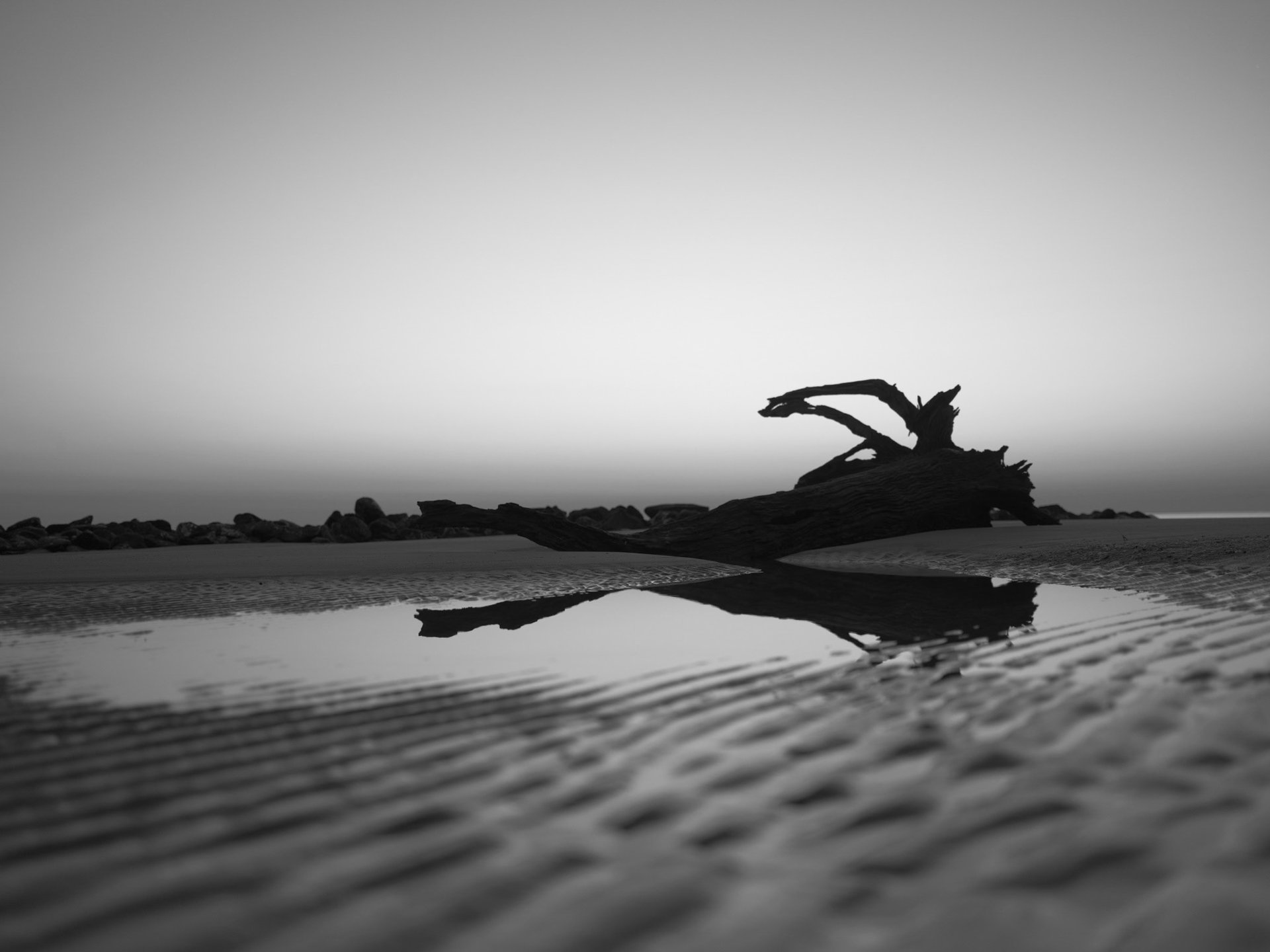 an abstract photo of a curved building with a blue sky in the background