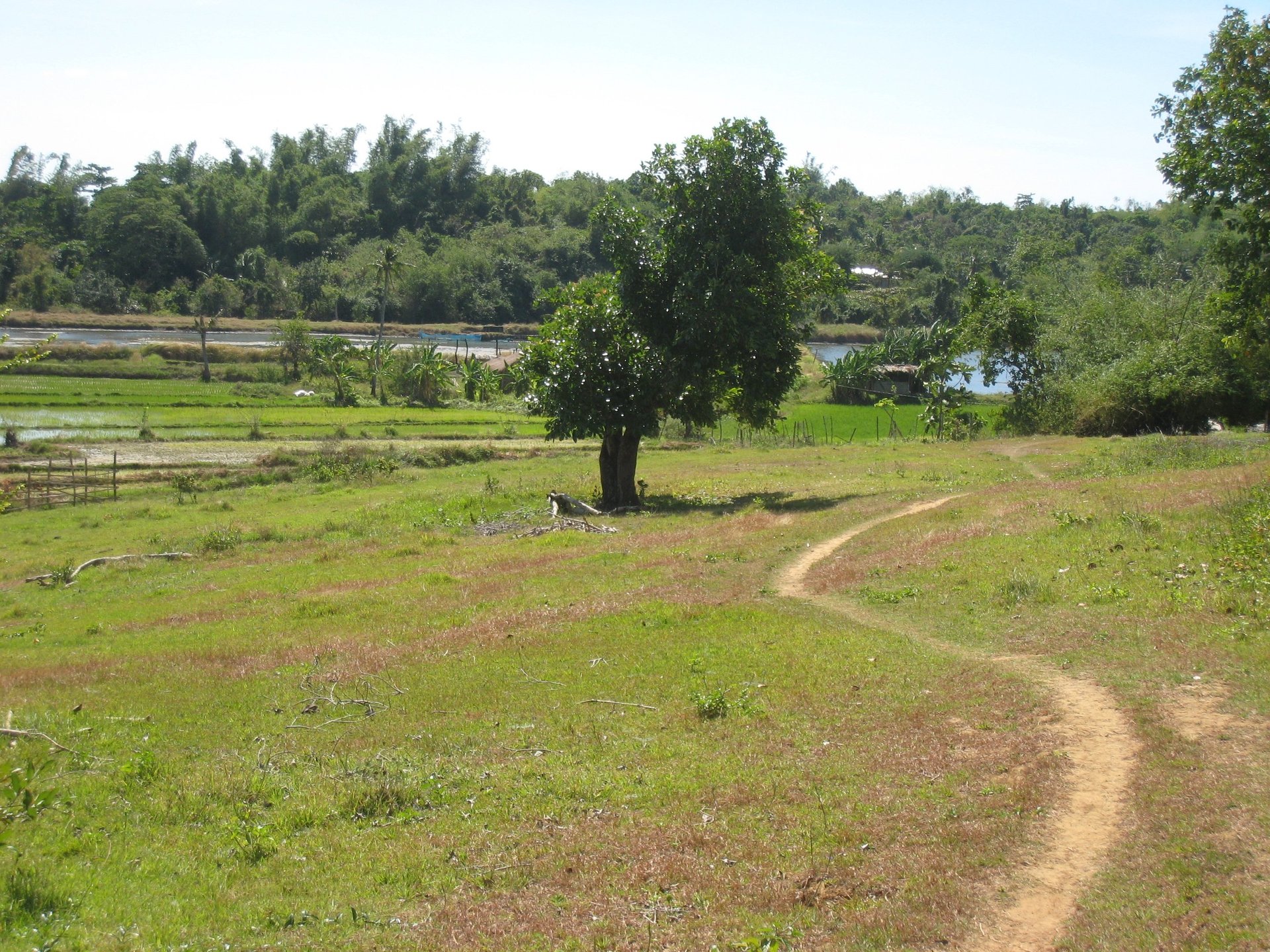 gray computer monitor