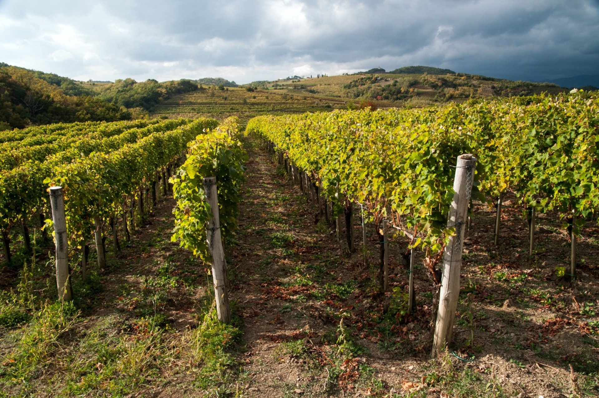black blue and yellow textile