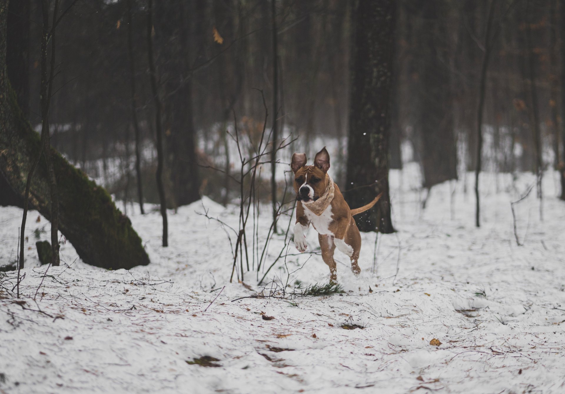 mountain range under blue sky