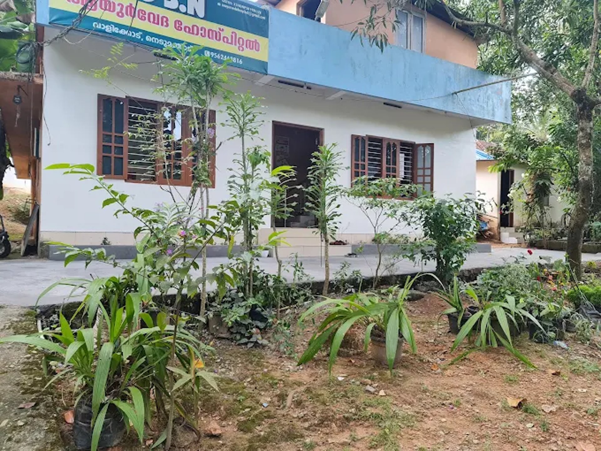 a blue flower with a white center in the middle of some green leaves