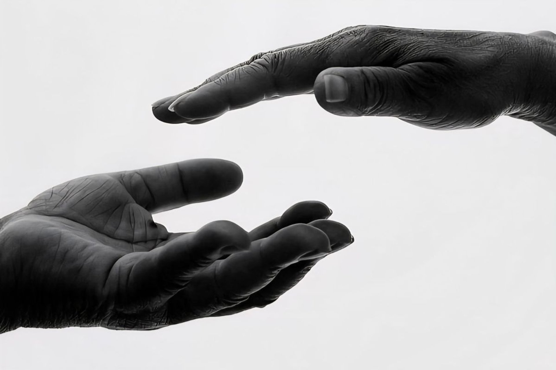 yellow sunflower field during daytime