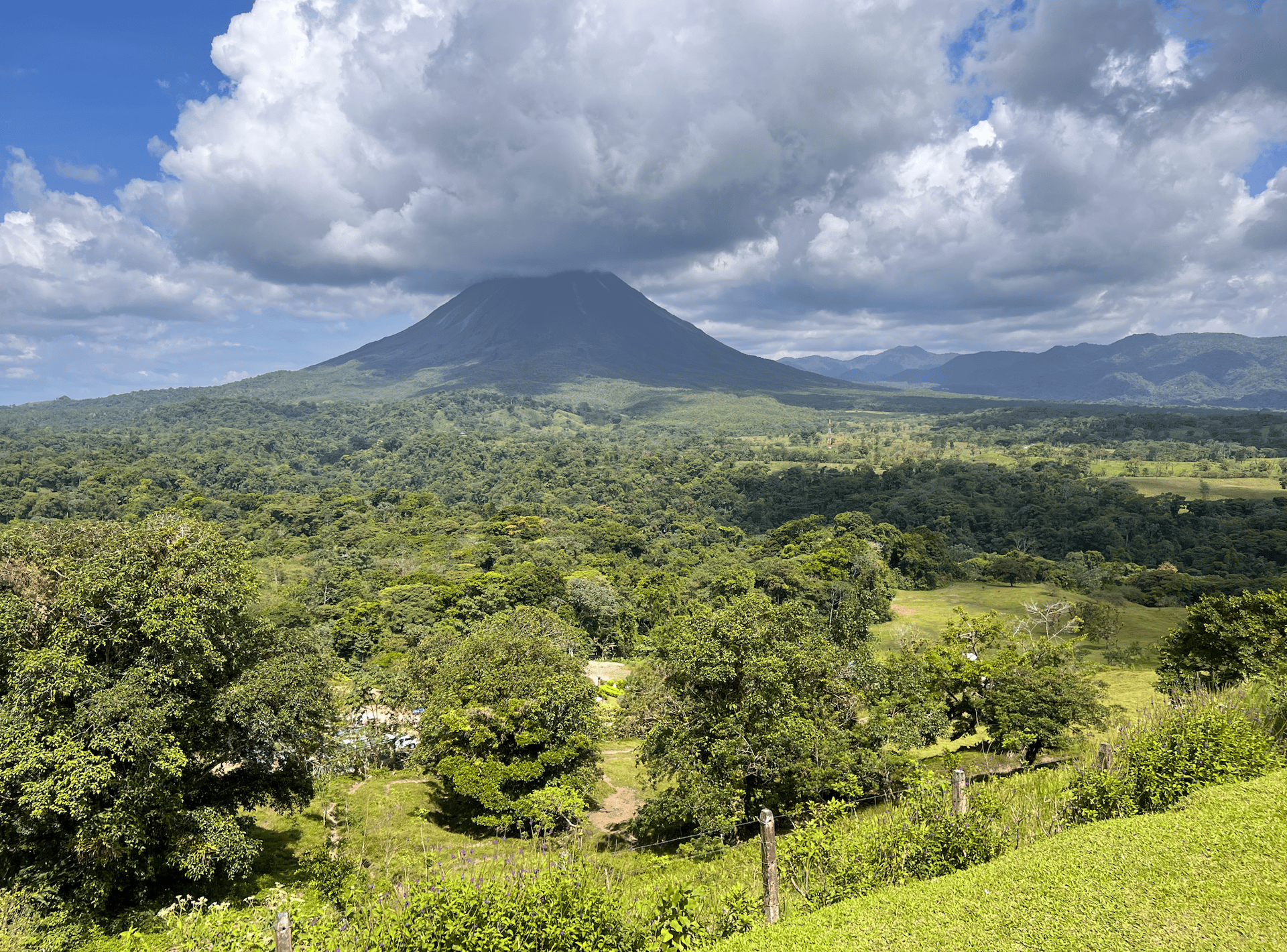 woman wearing yellow long-sleeved dress under white clouds and blue sky during daytime