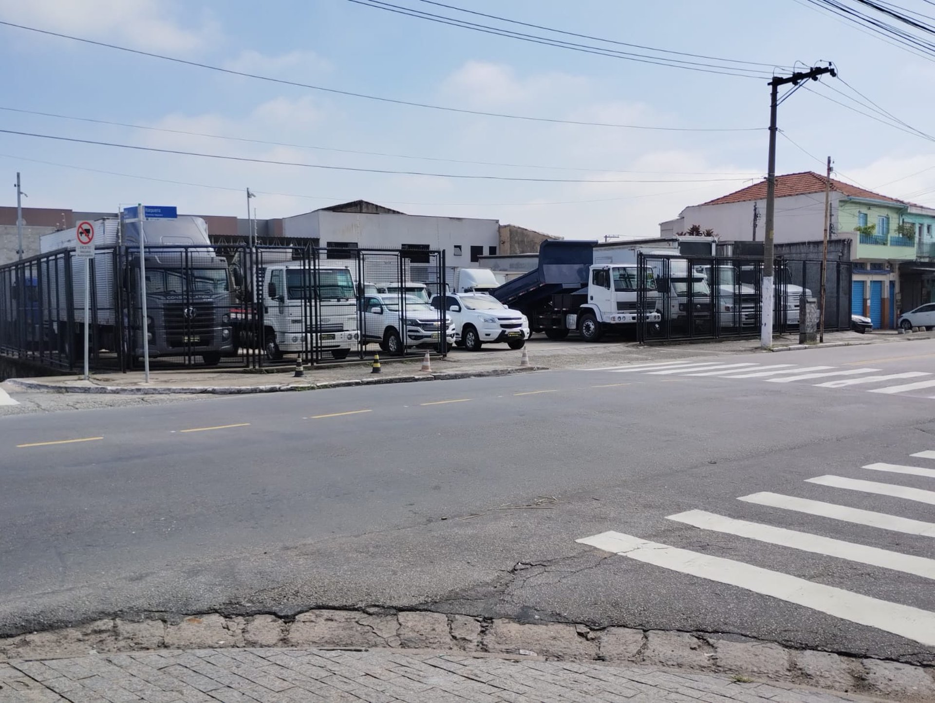 woman holding dried flower