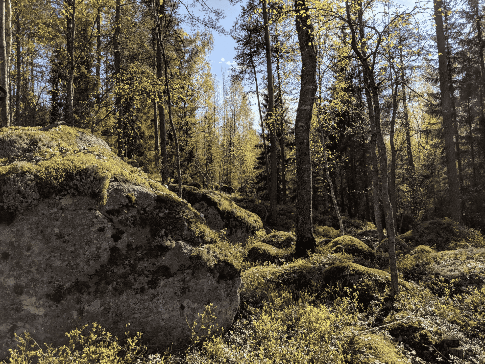 gray computer monitor