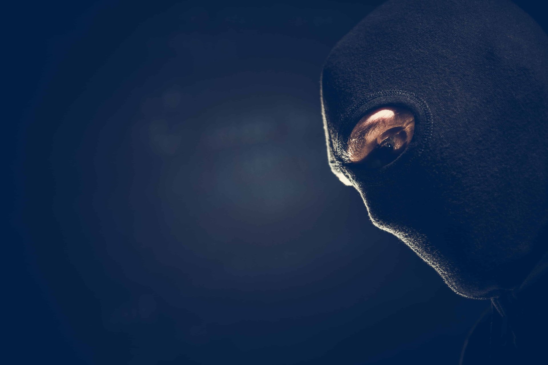 Privacy and data security features explained for the Safee electronic work diary