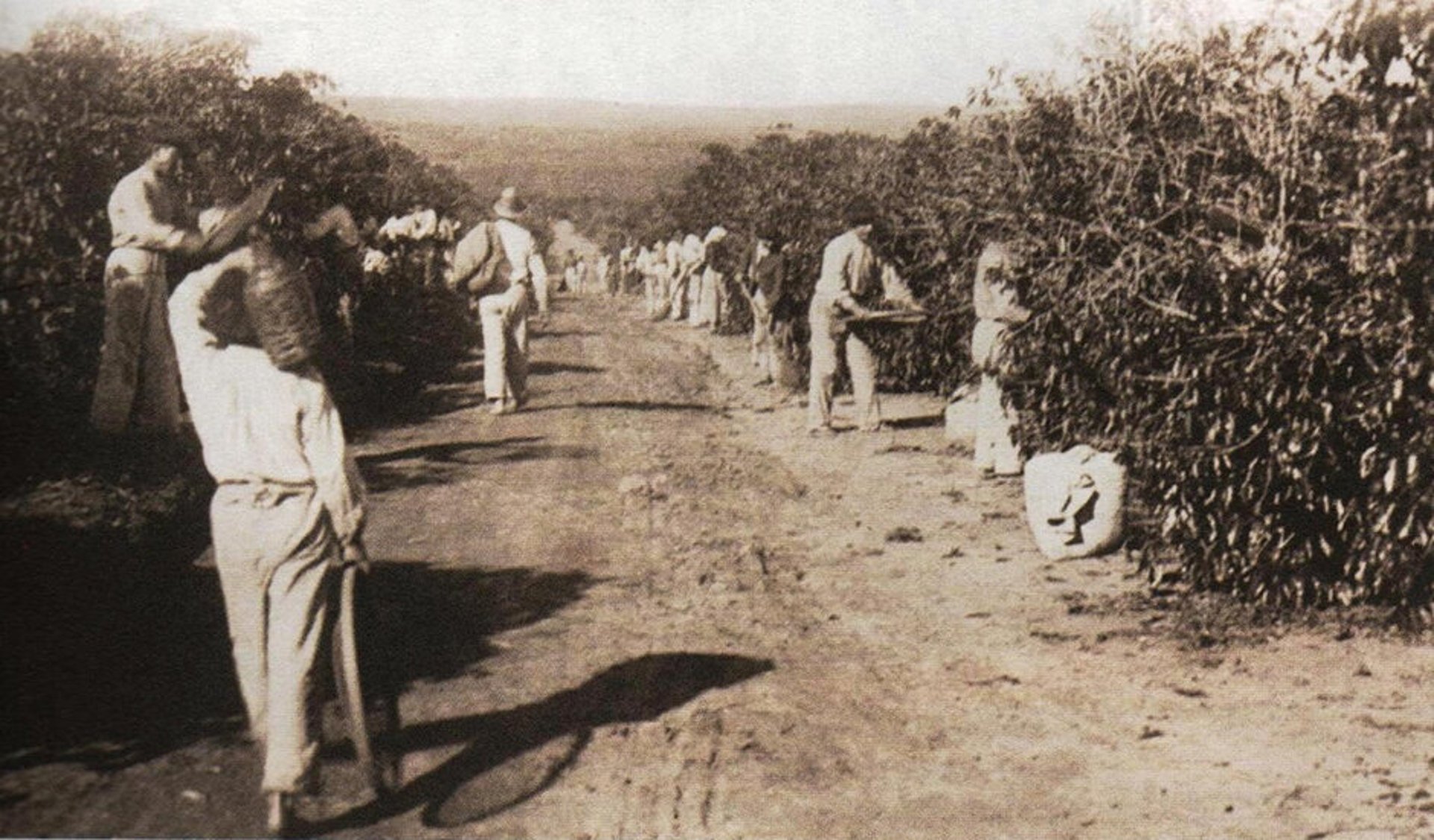 an abstract photo of a curved building with a blue sky in the background