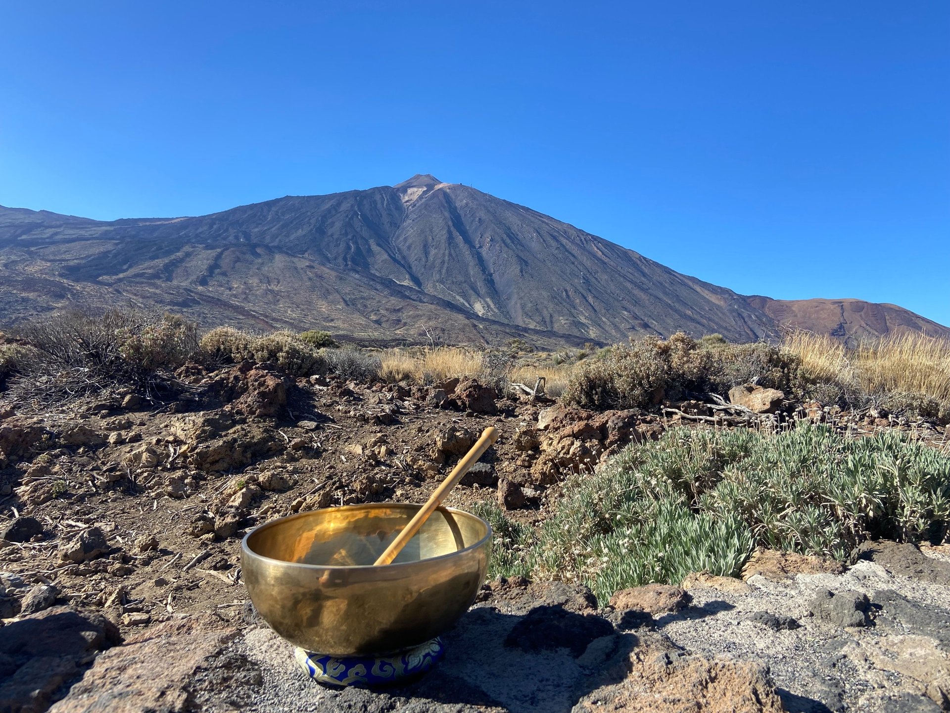 black Canon EOS camera