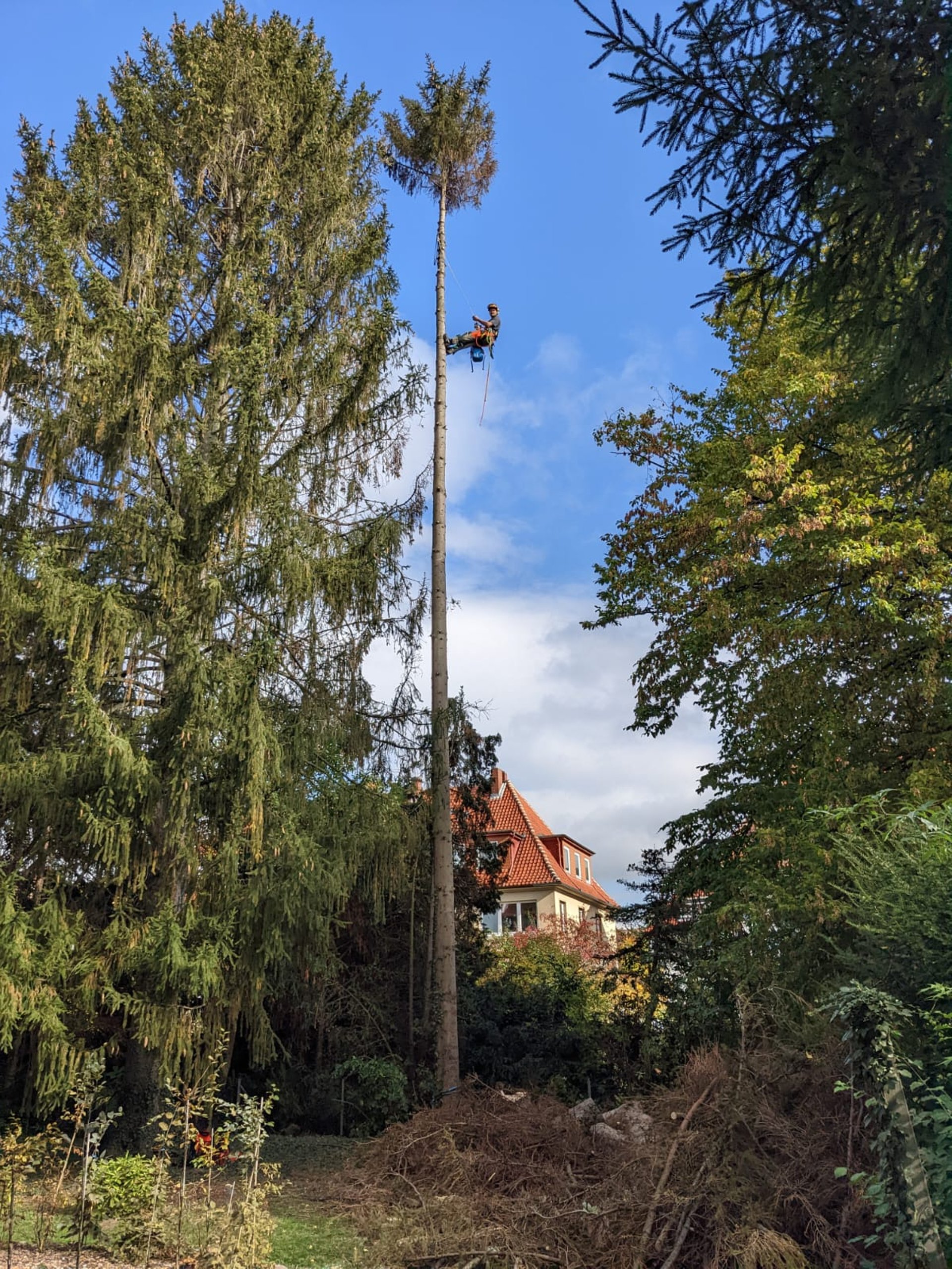 an abstract photo of a curved building with a blue sky in the background