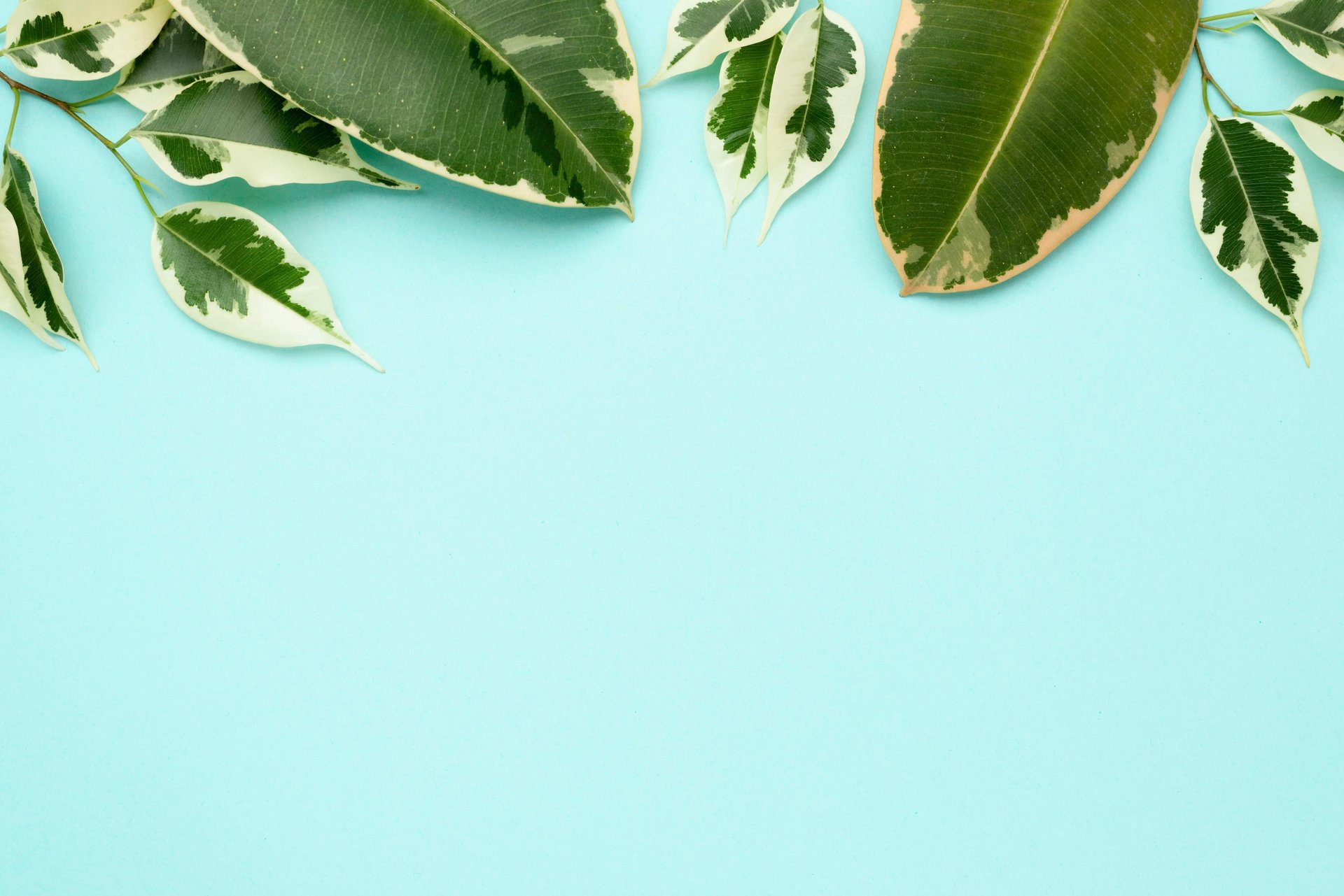 black blue and yellow textile