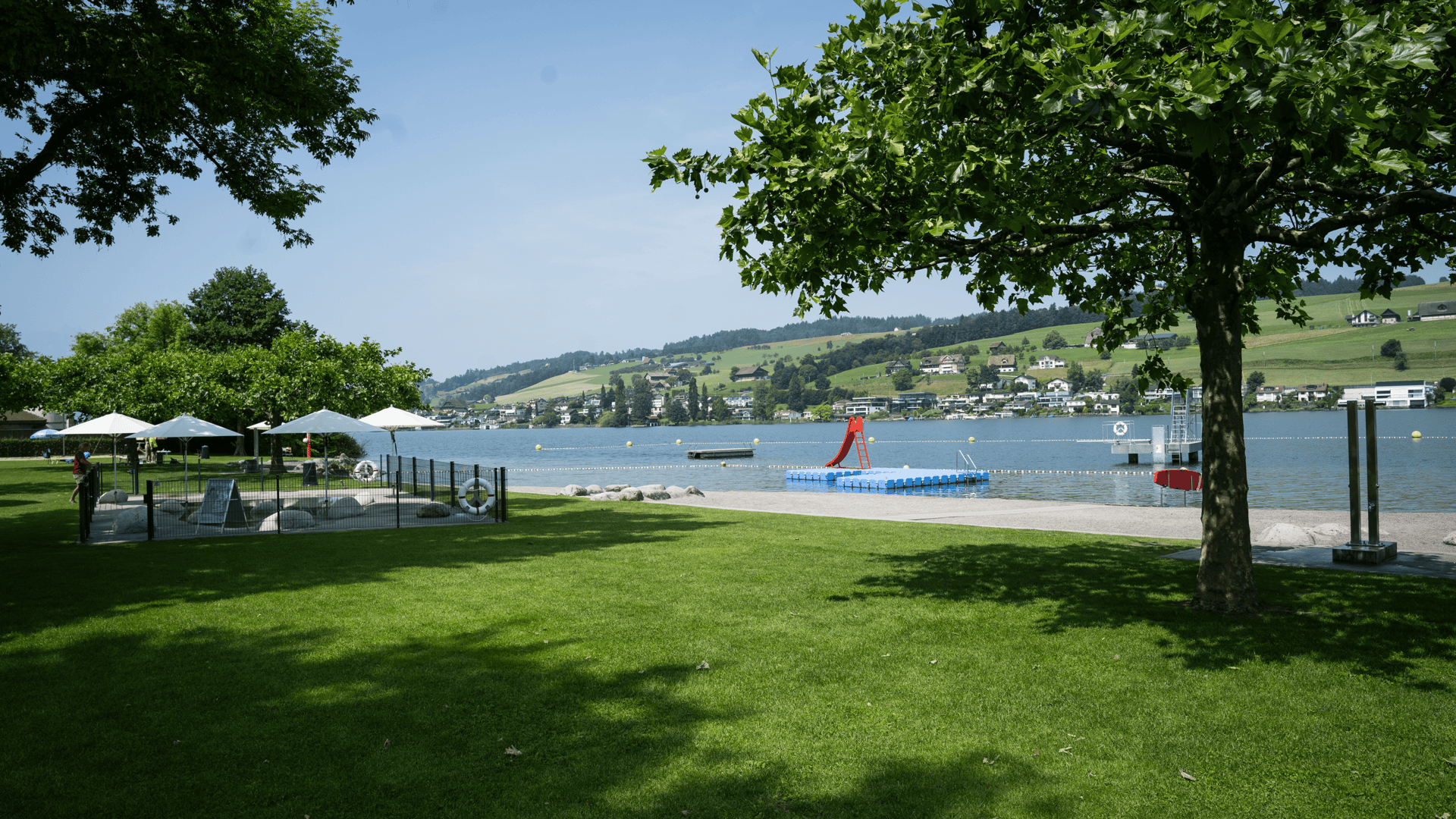 shore near body of water