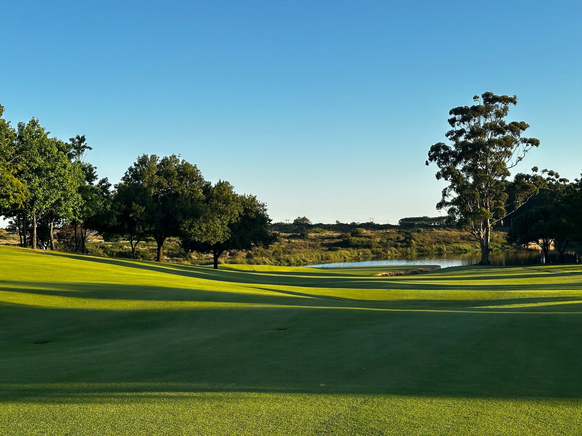 black and brown leather padded tub sofa