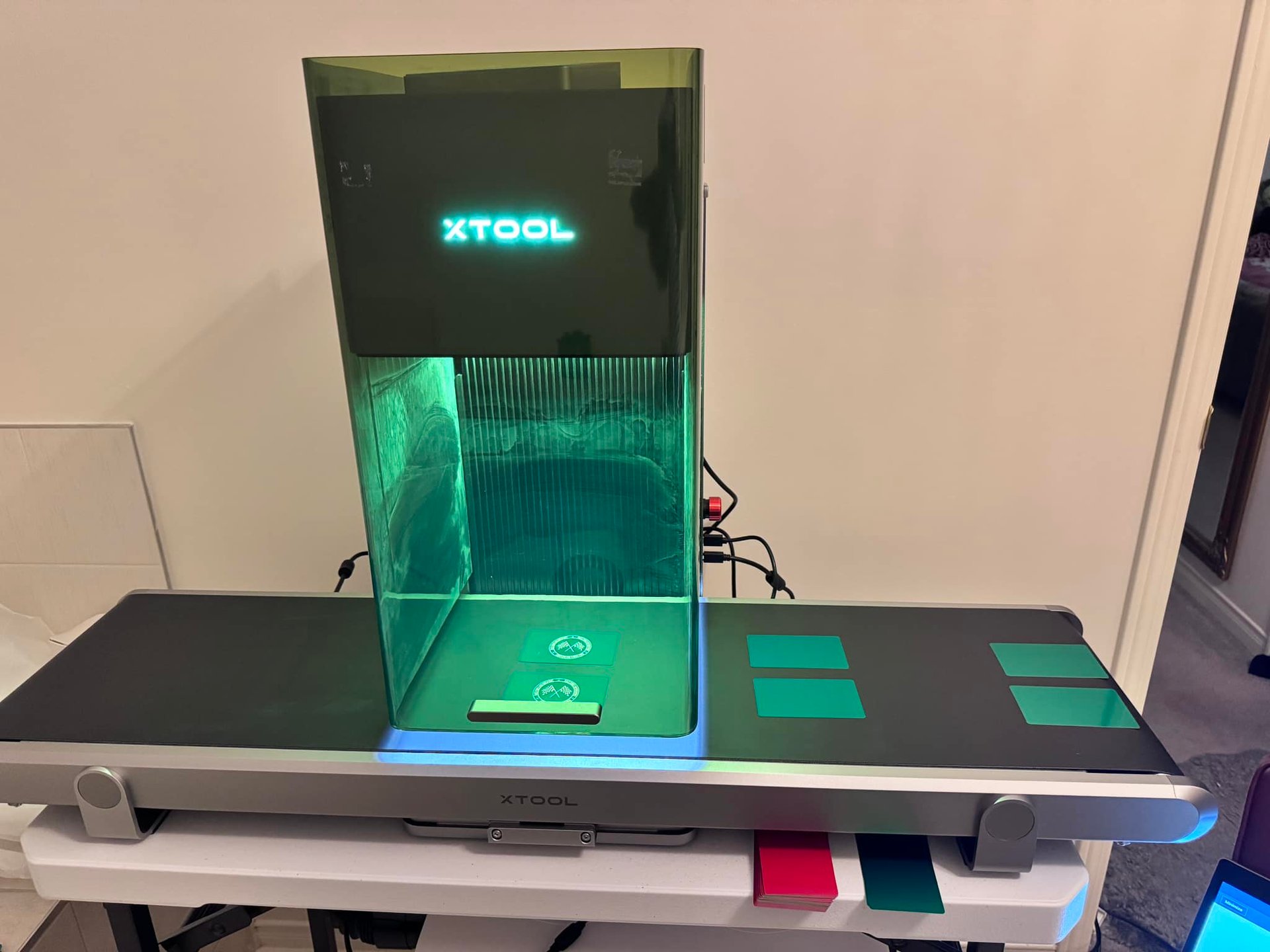 woman holding dried flower