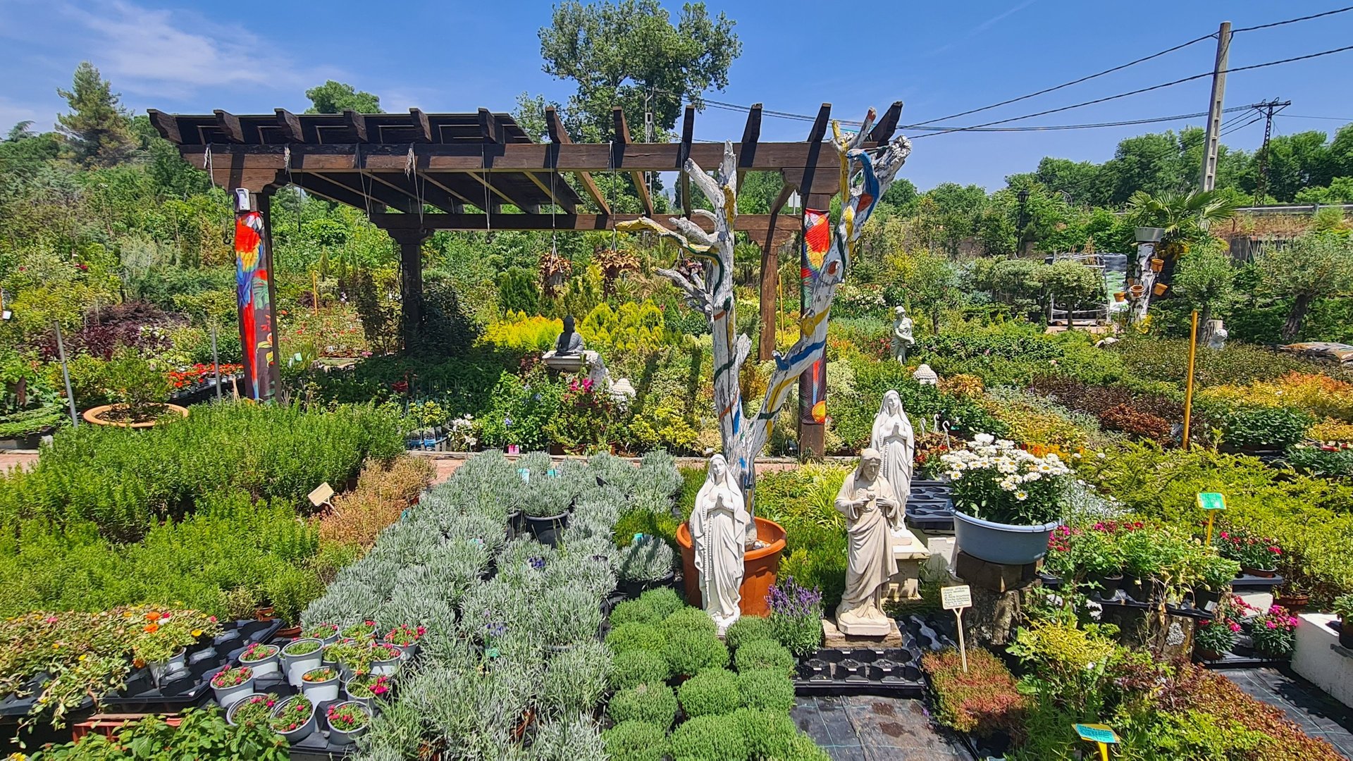 black and white bed linen