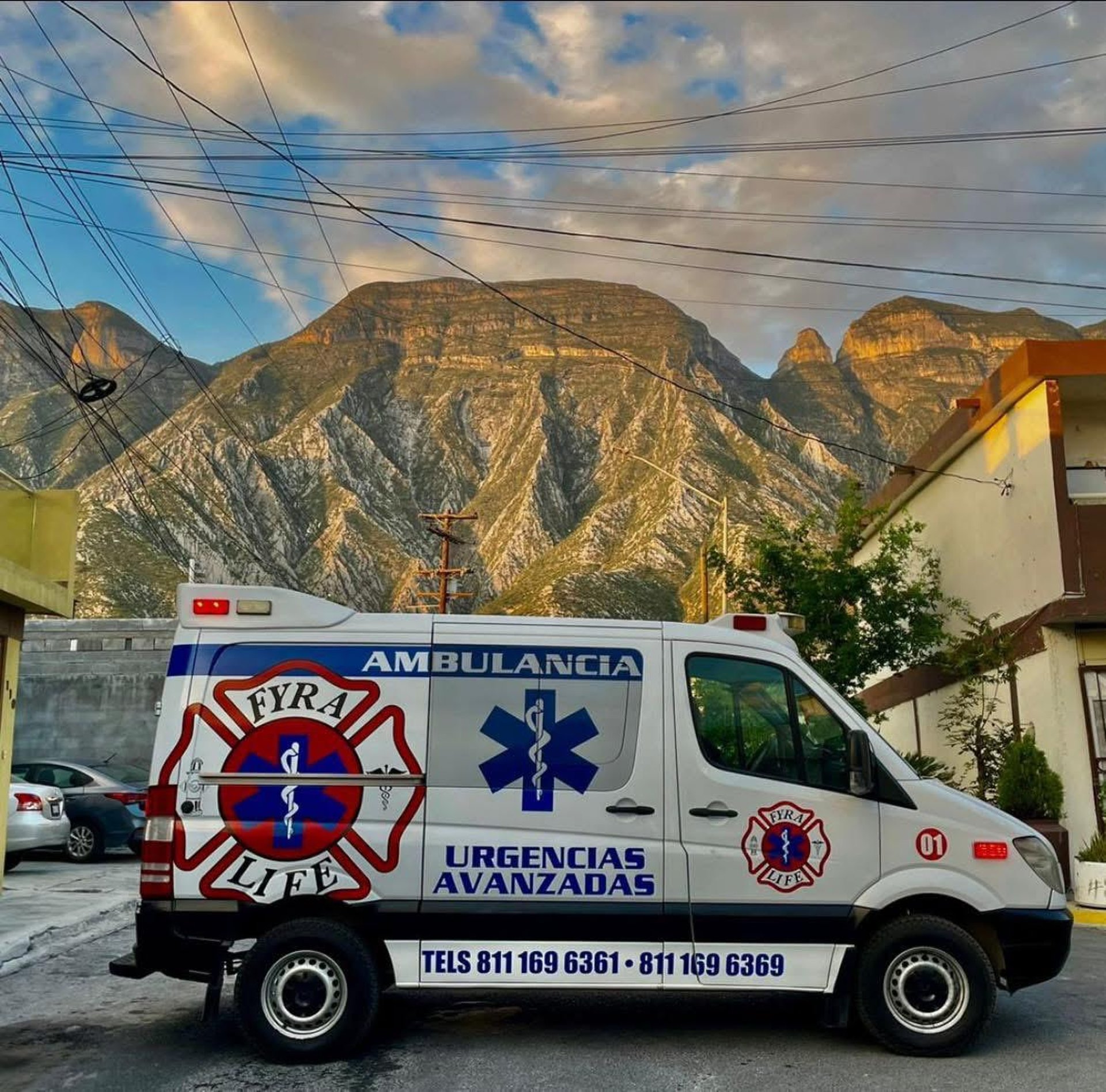 black and brown leather padded tub sofa