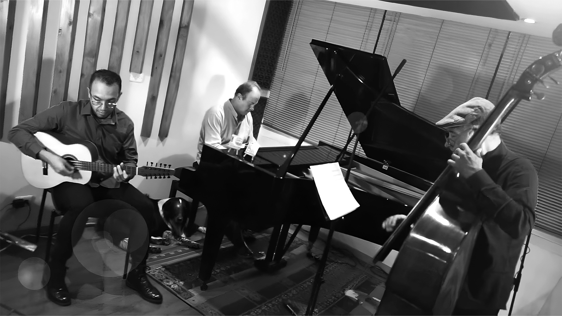 gray computer monitor