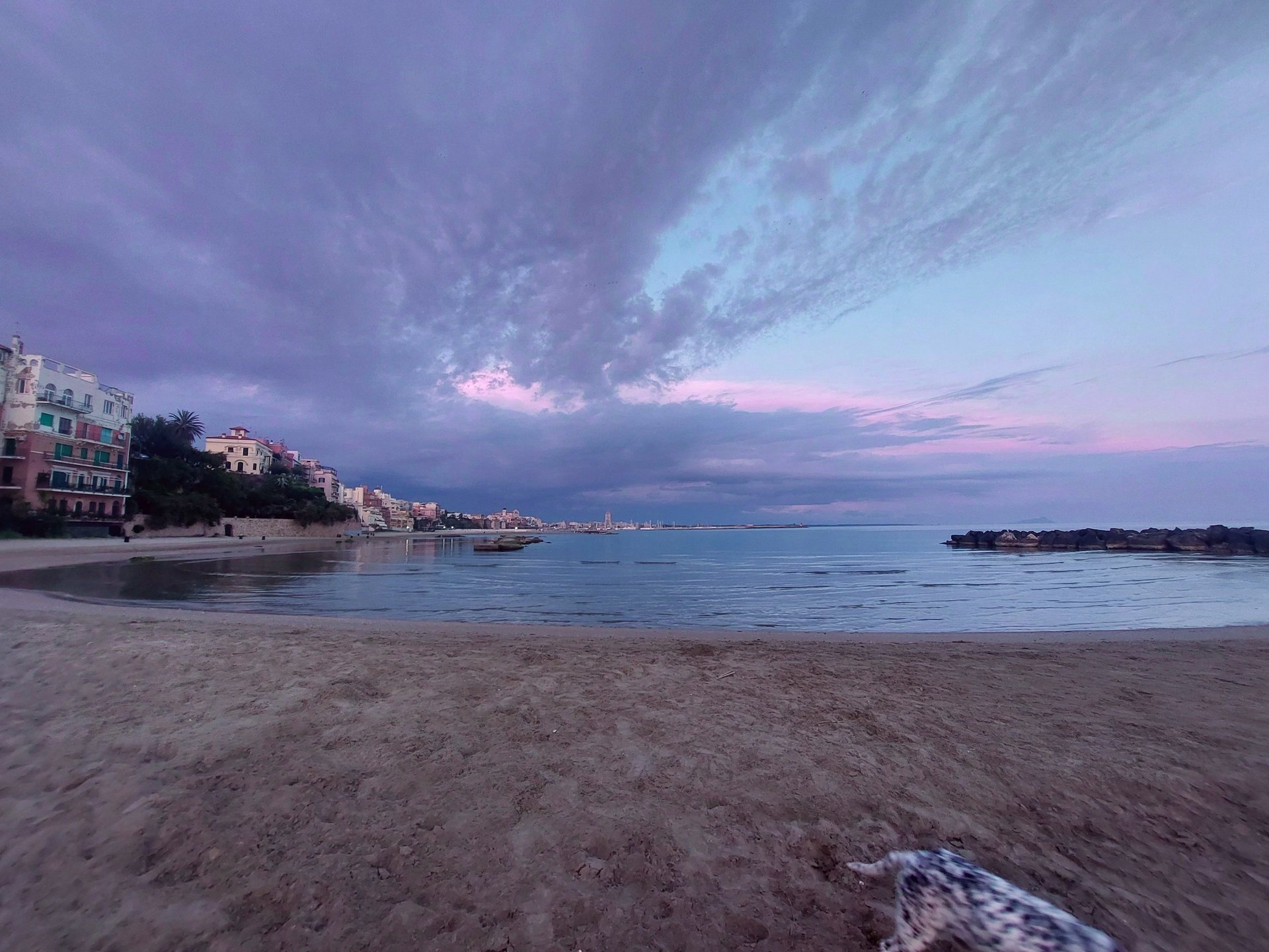 black blue and yellow textile