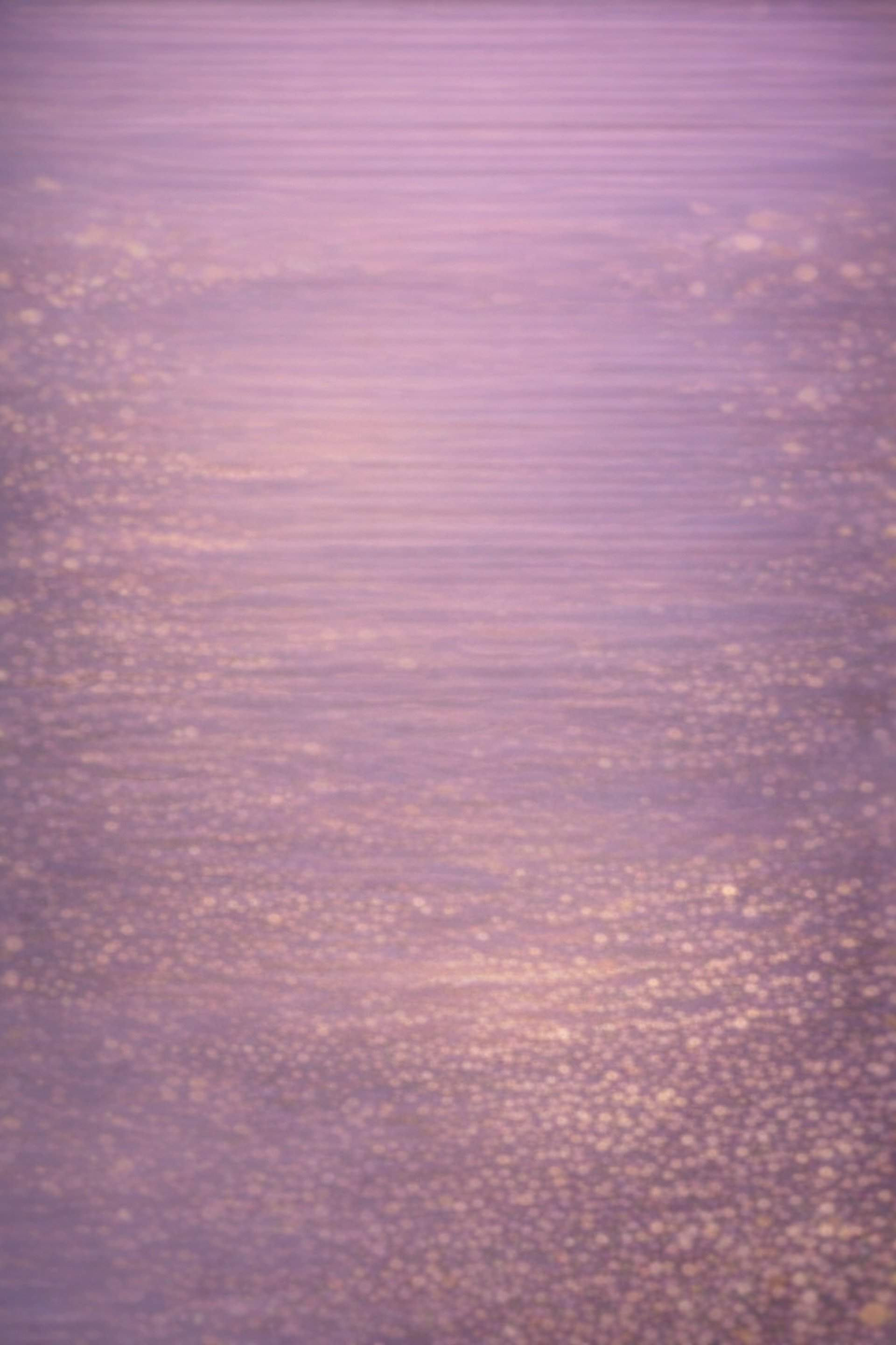 a person riding a snowboard down a snow covered slope