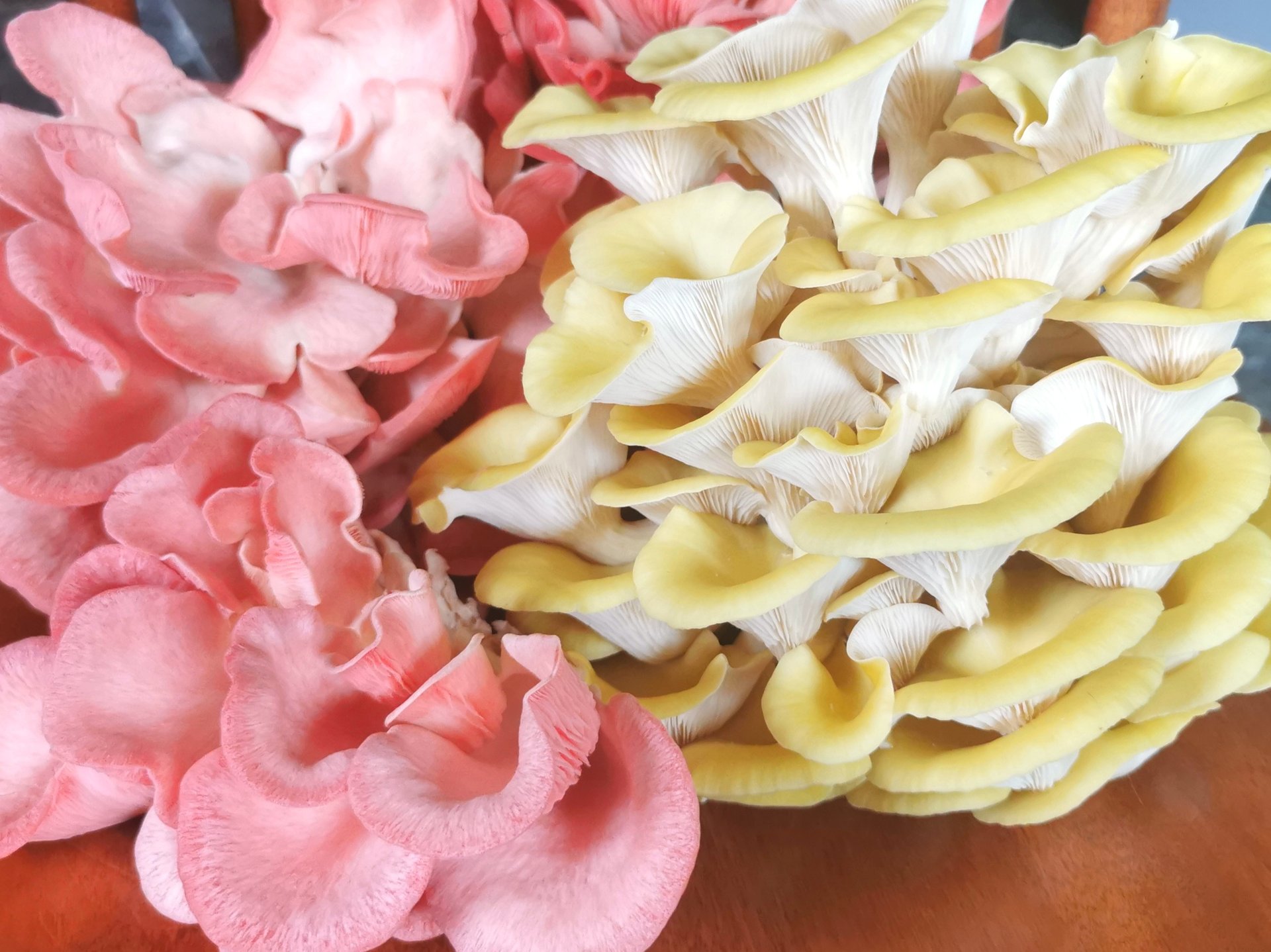 person wearing grey knit sweater