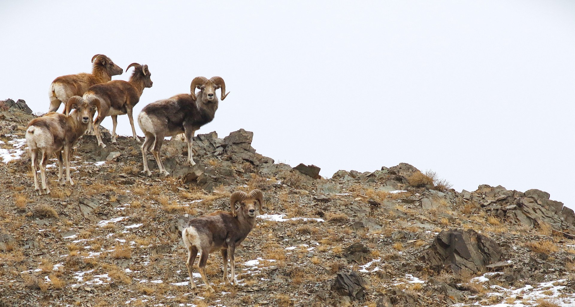 an abstract photo of a curved building with a blue sky in the background