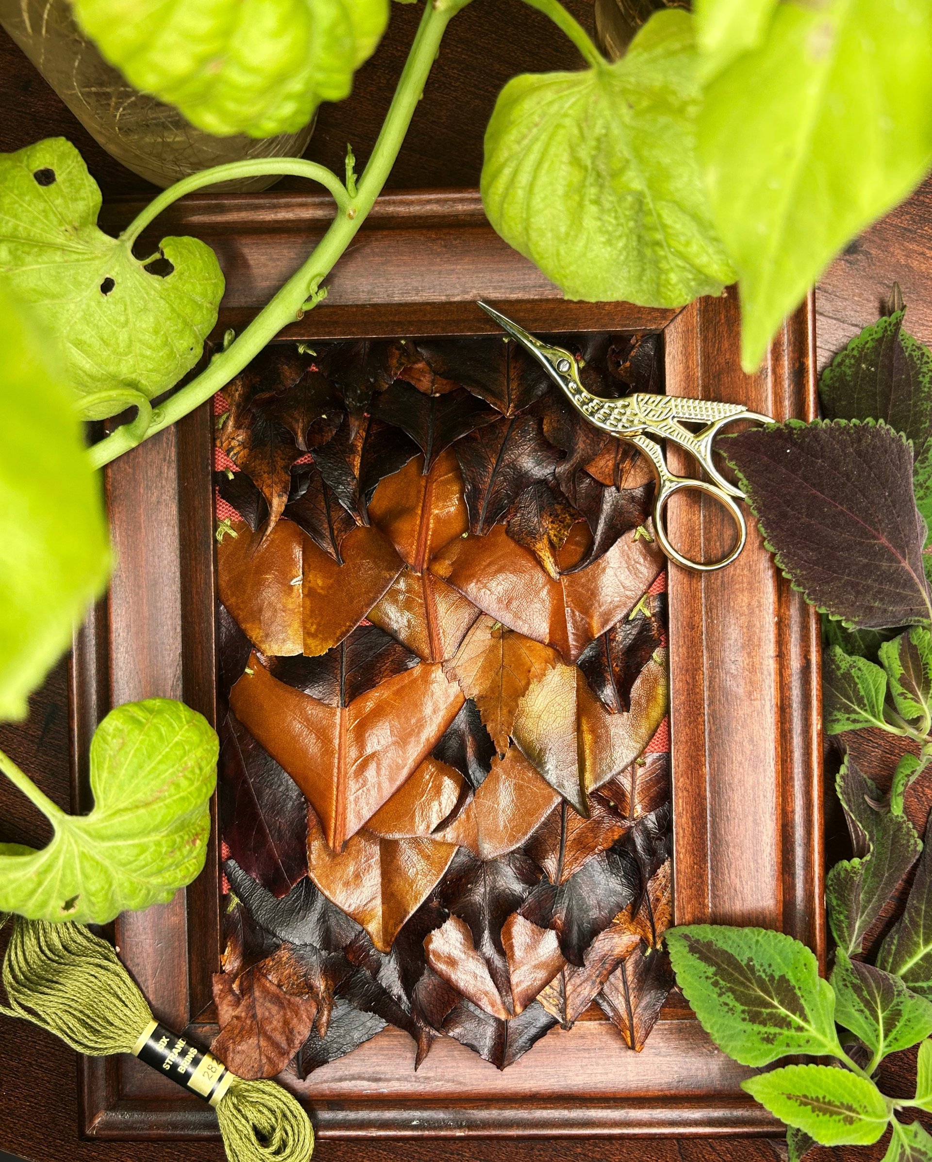 woman holding dried flower