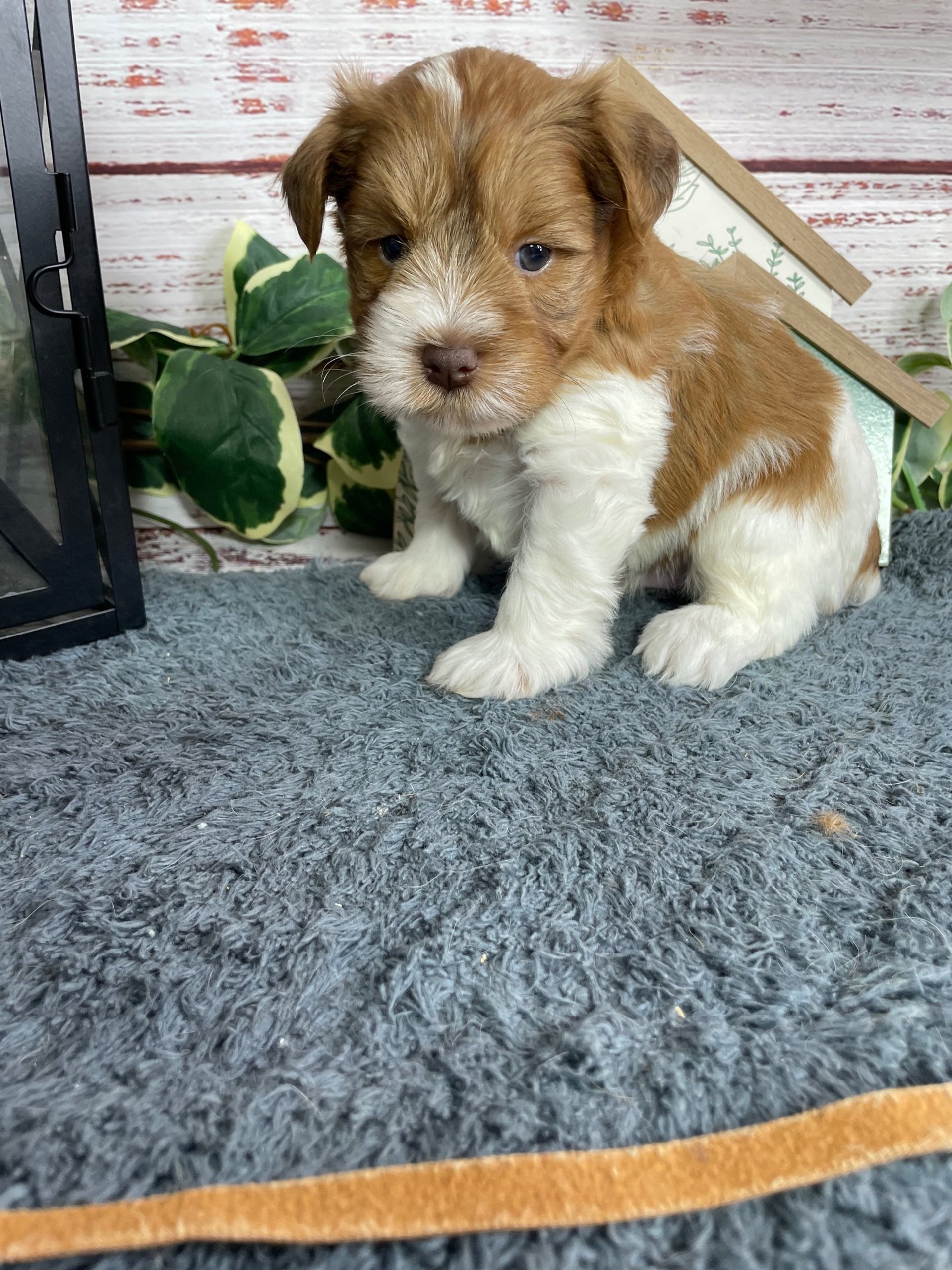 green mountain under white sky during daytime