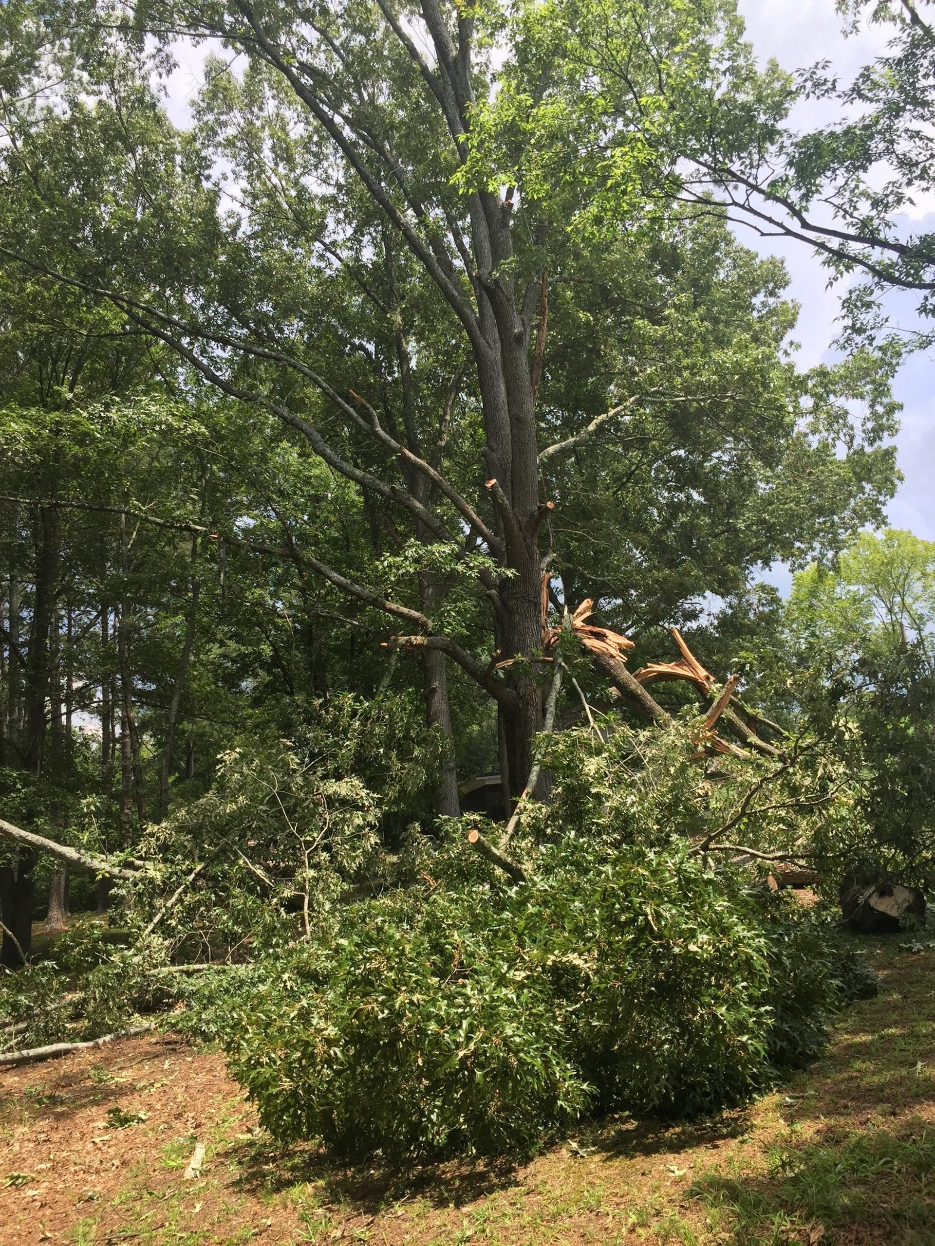 an abstract photo of a curved building with a blue sky in the background