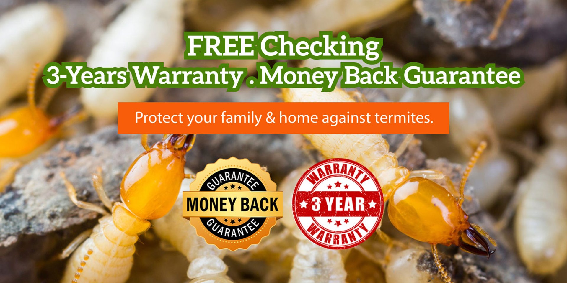 Termite near damage wood, with text mentioning free inspection, warranty, money back guarantee