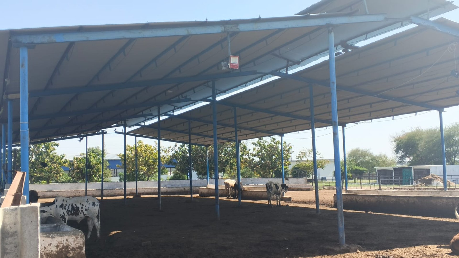 black blue and yellow textile