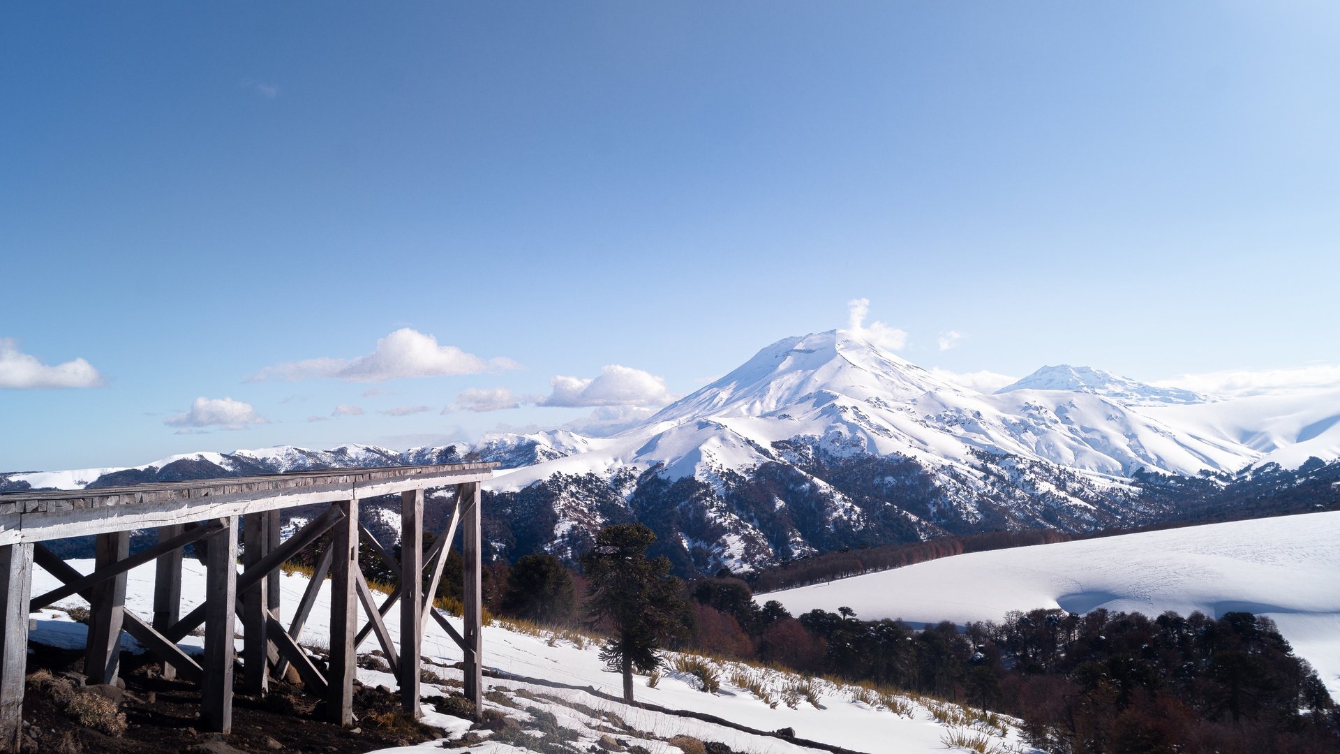 black and brown leather padded tub sofa