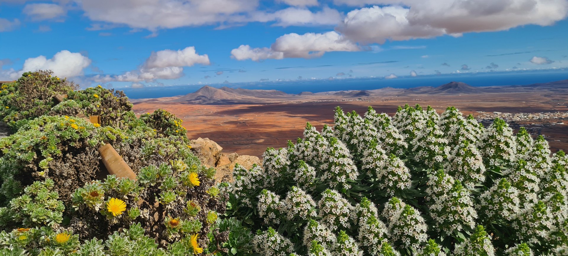 woman wearing yellow long-sleeved dress under white clouds and blue sky during daytime