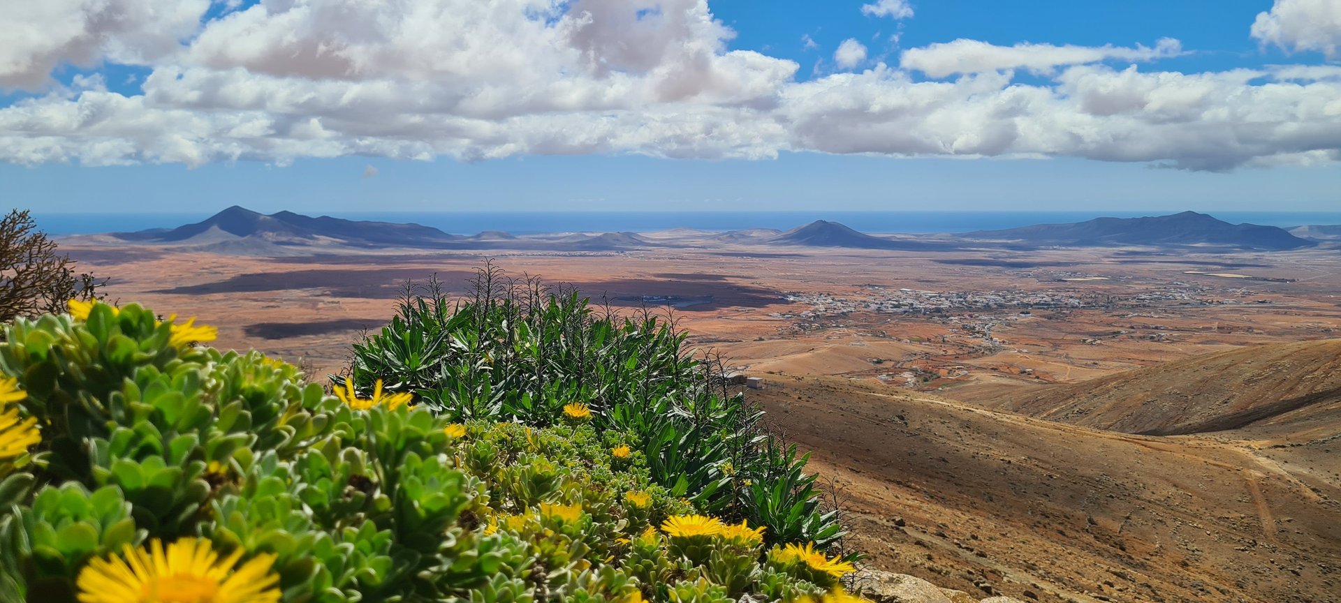 woman wearing yellow long-sleeved dress under white clouds and blue sky during daytime