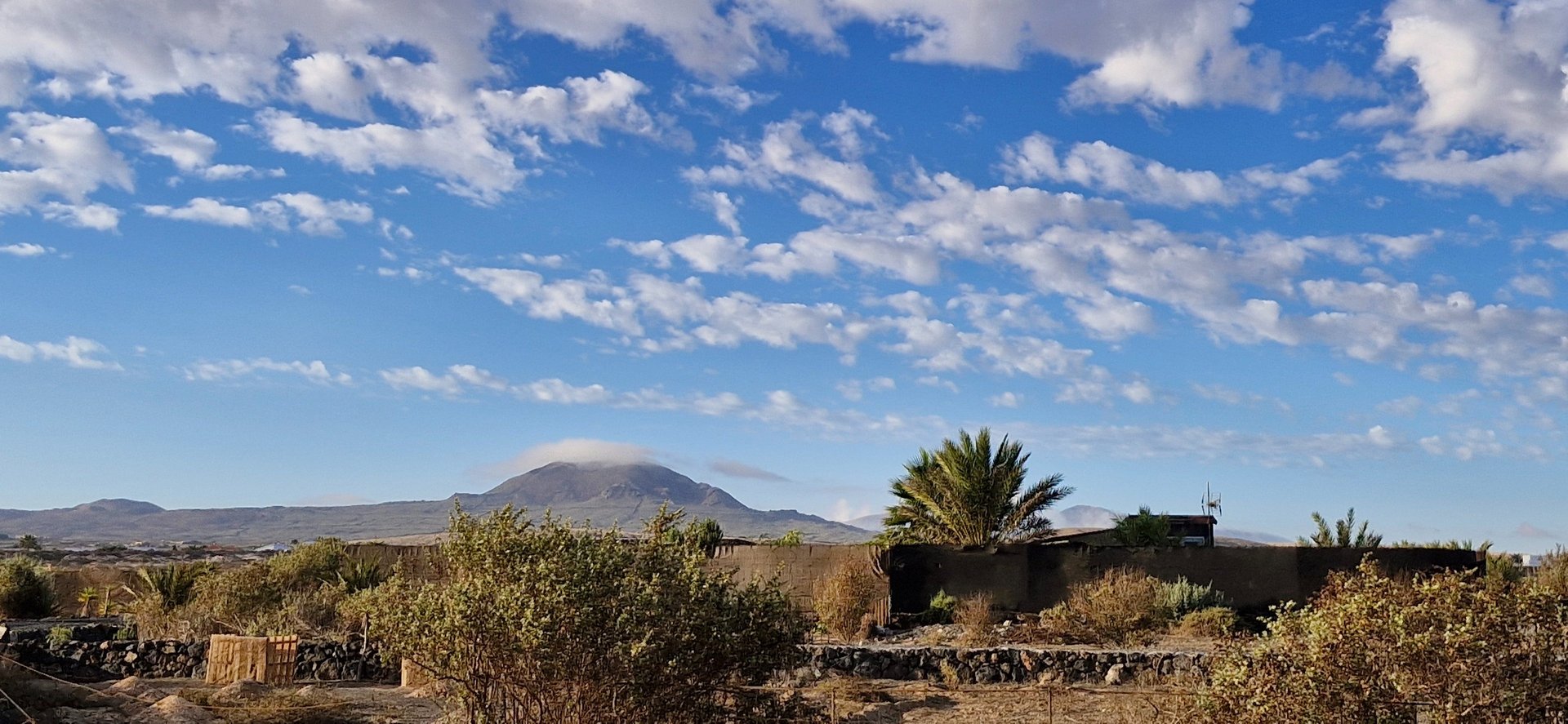 woman wearing yellow long-sleeved dress under white clouds and blue sky during daytime