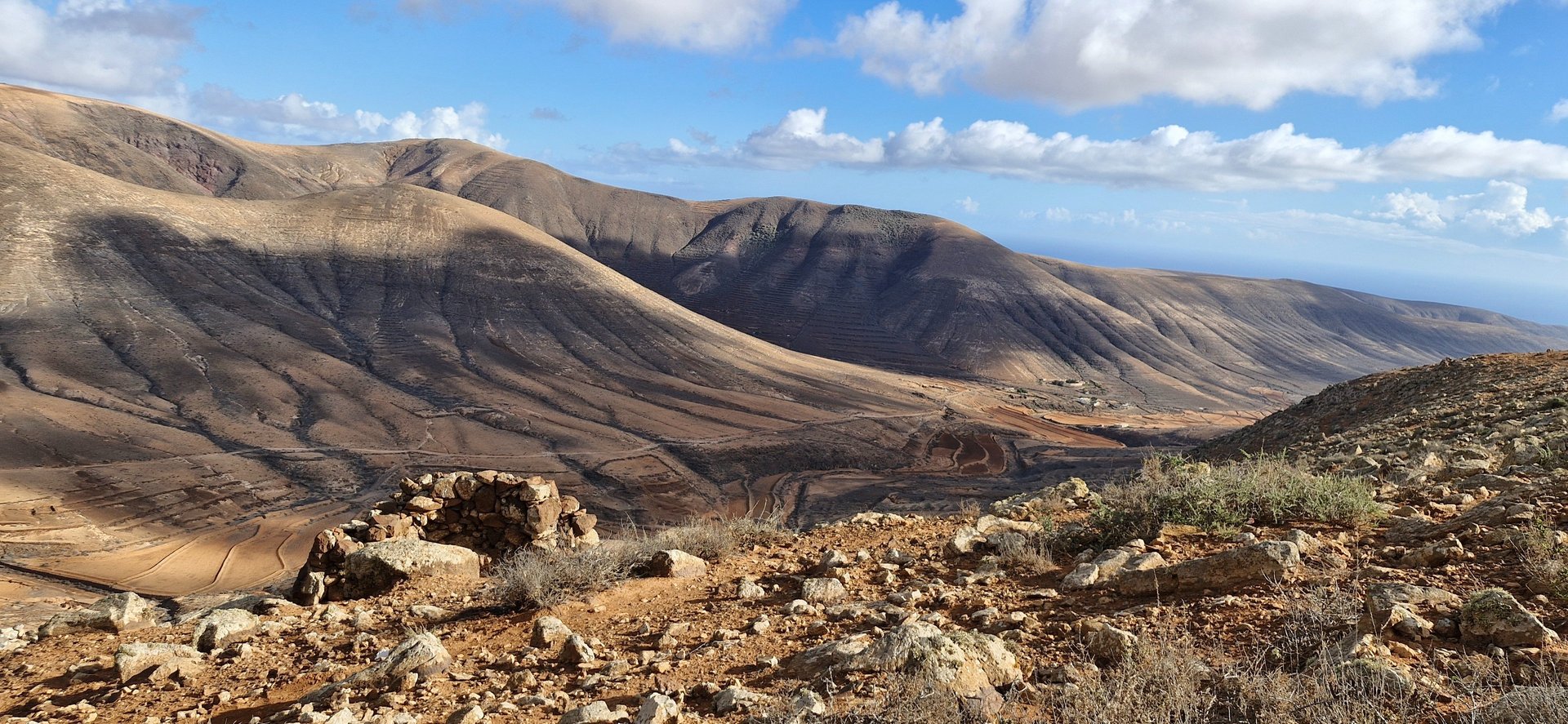 woman wearing yellow long-sleeved dress under white clouds and blue sky during daytime
