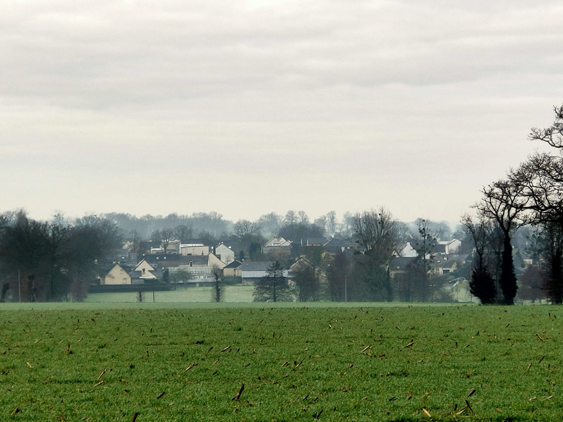gray computer monitor