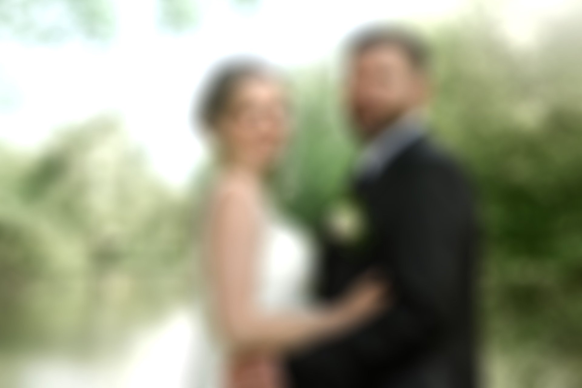 Red tulips in bud, ready to bloom.