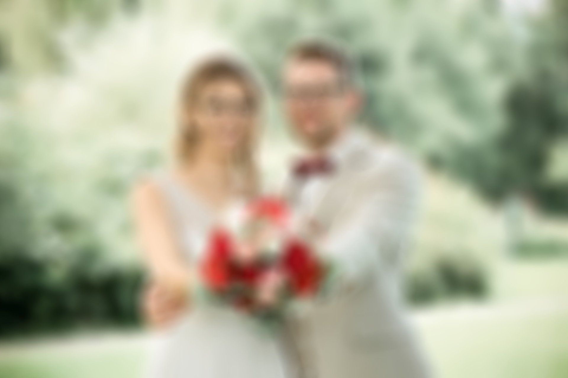 Red tulips in bud, ready to bloom.