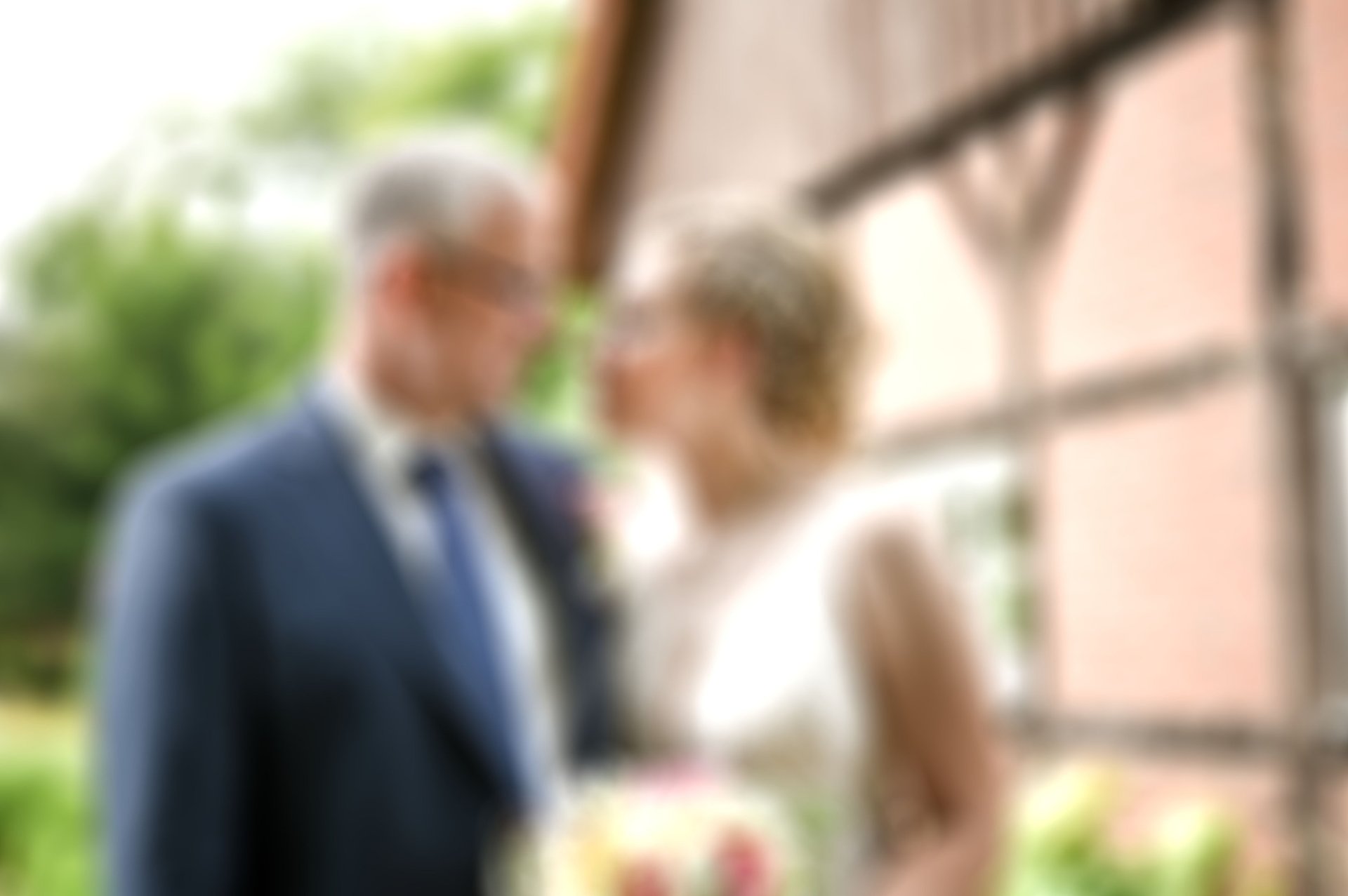 Red tulips in bud, ready to bloom.