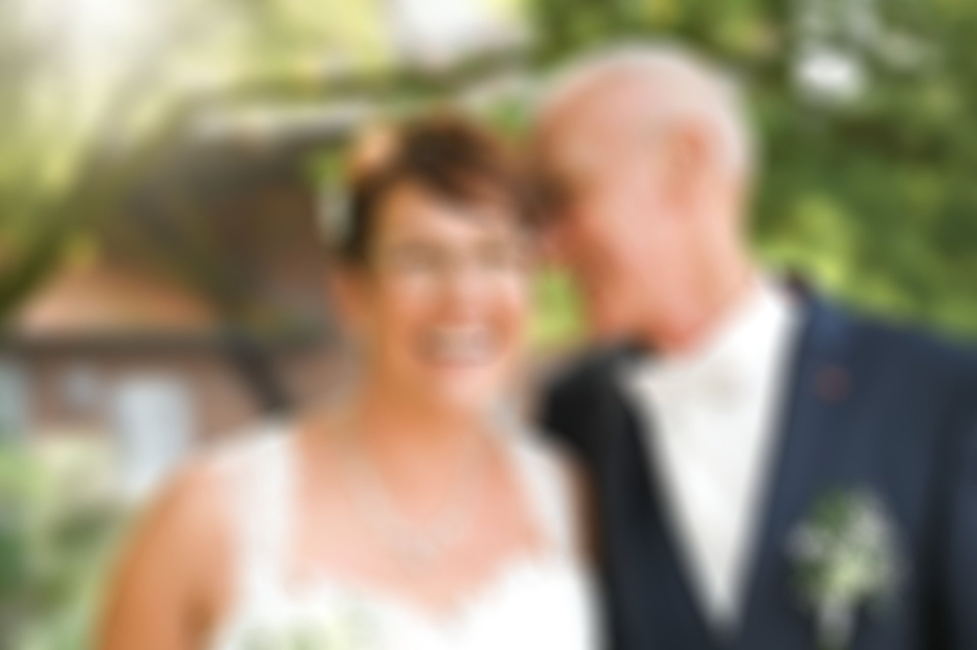 Red tulips in bud, ready to bloom.