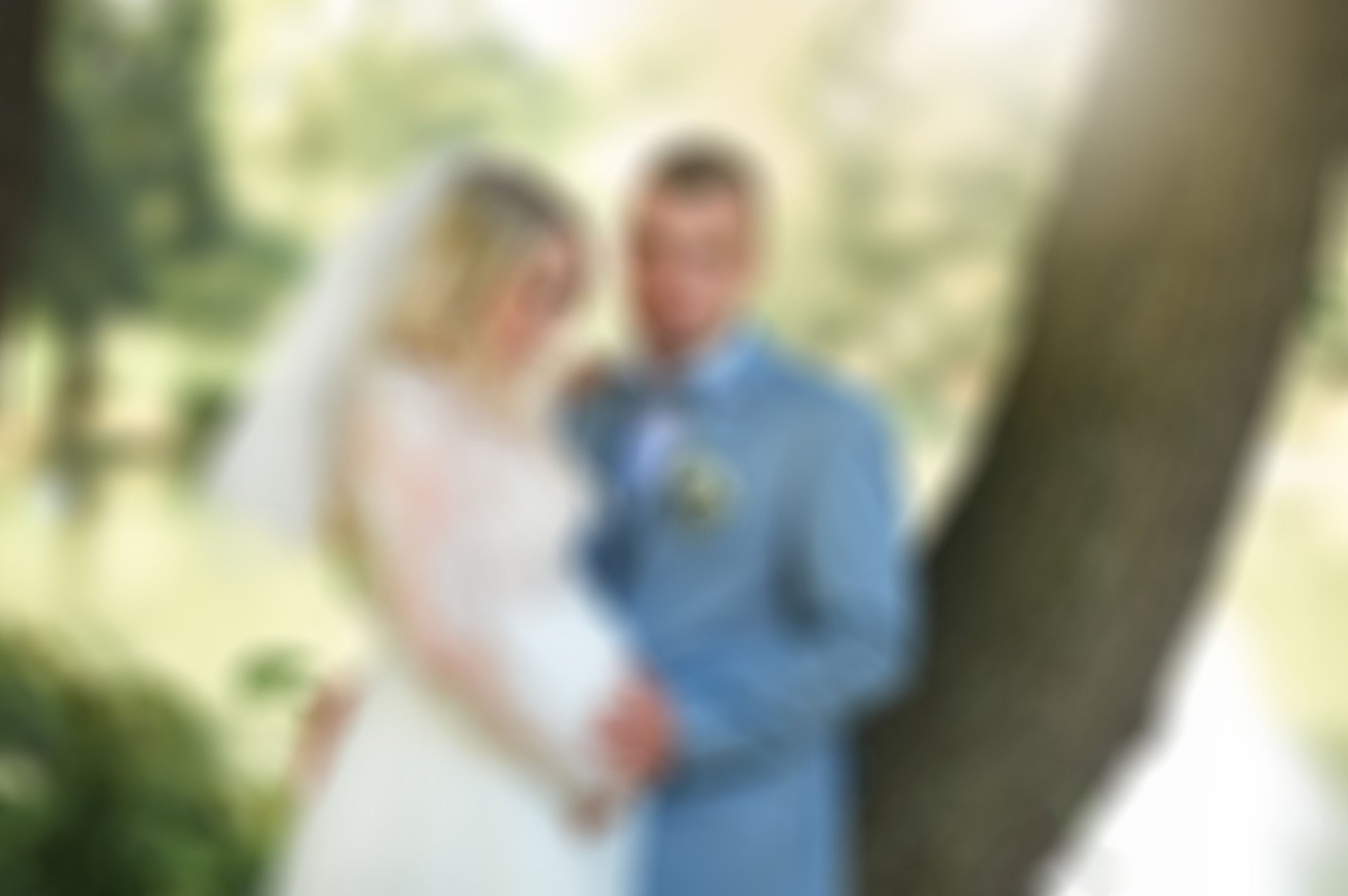 Red tulips in bud, ready to bloom.