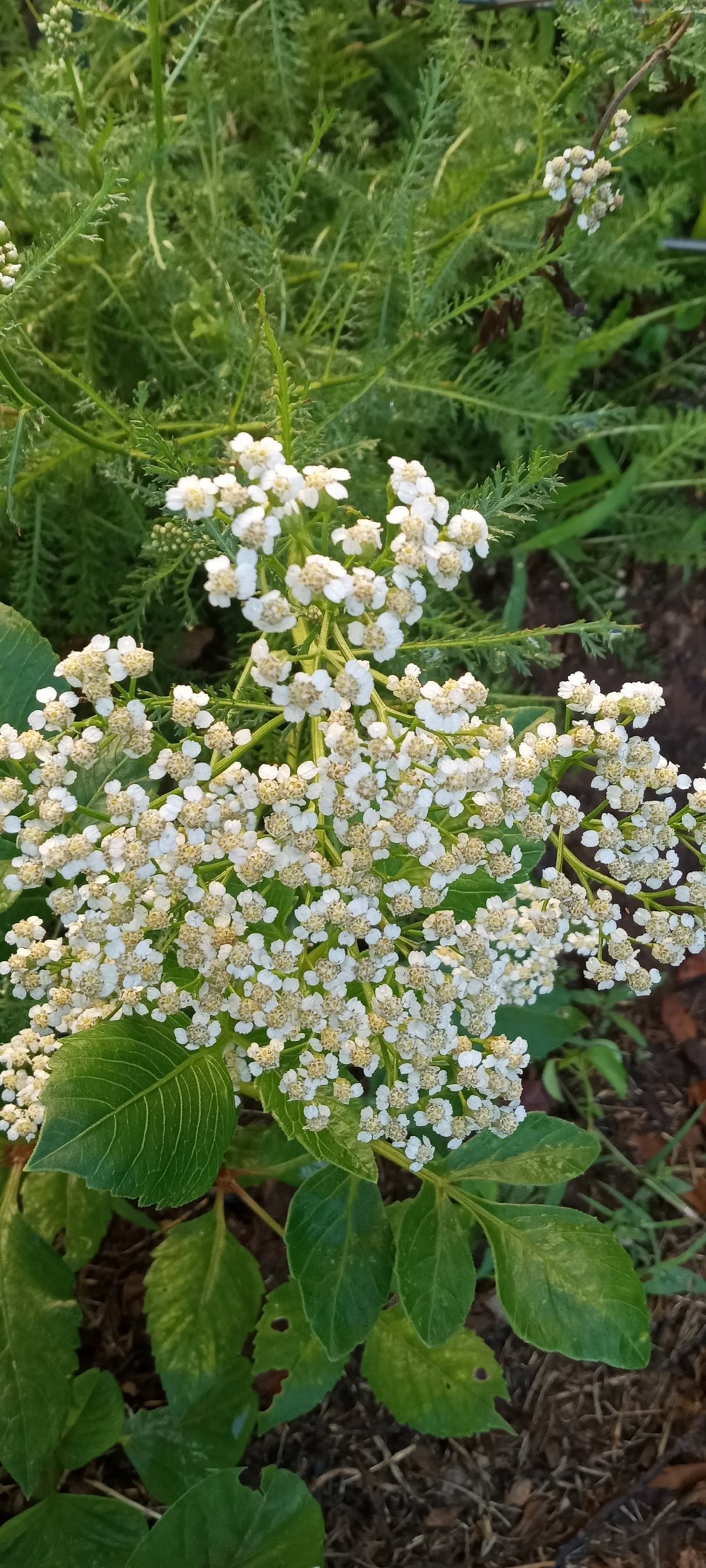 person wearing grey knit sweater