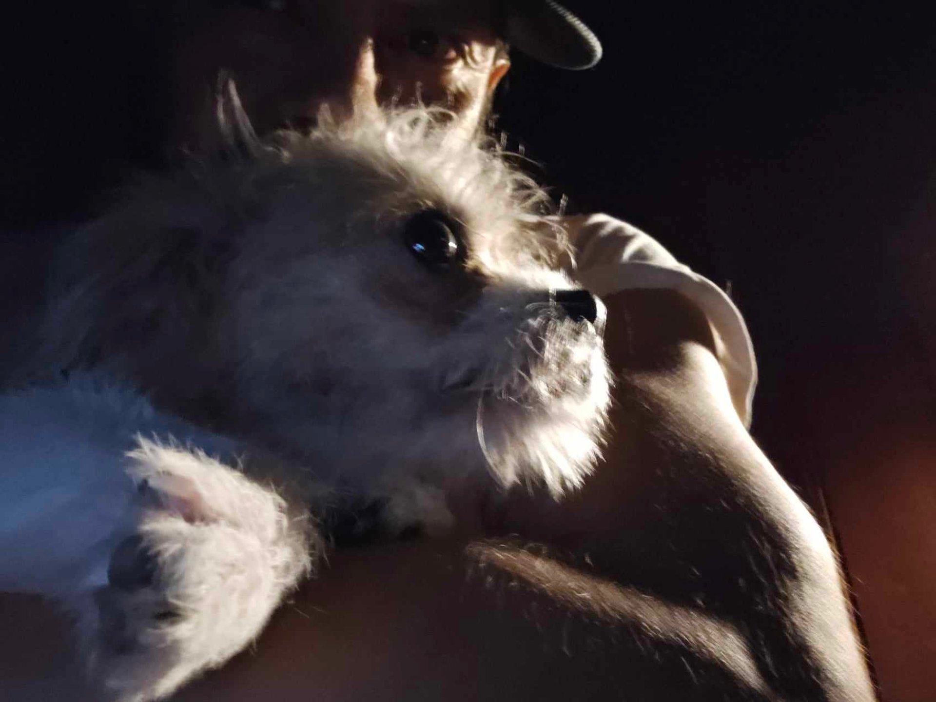 black and white bed linen