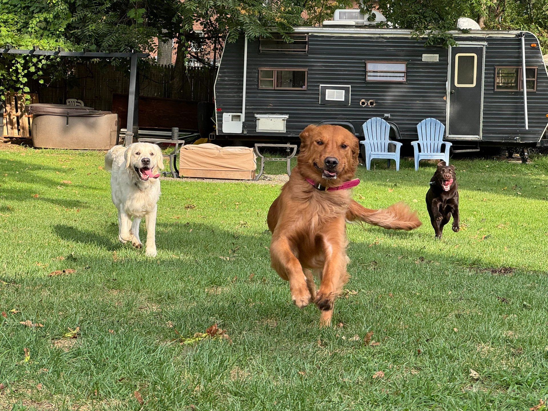 woman wearing yellow long-sleeved dress under white clouds and blue sky during daytime