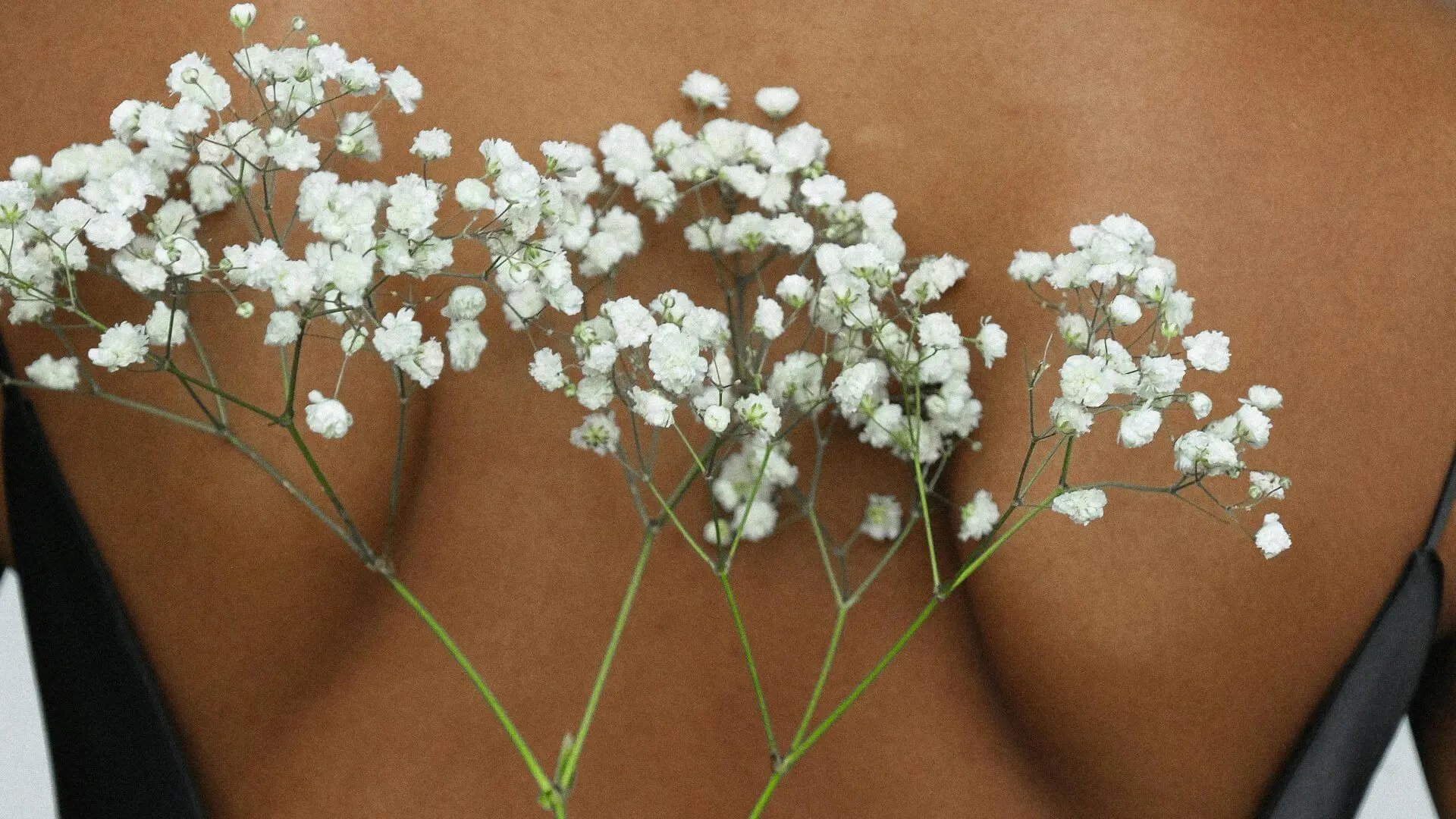 an abstract photo of a curved building with a blue sky in the background