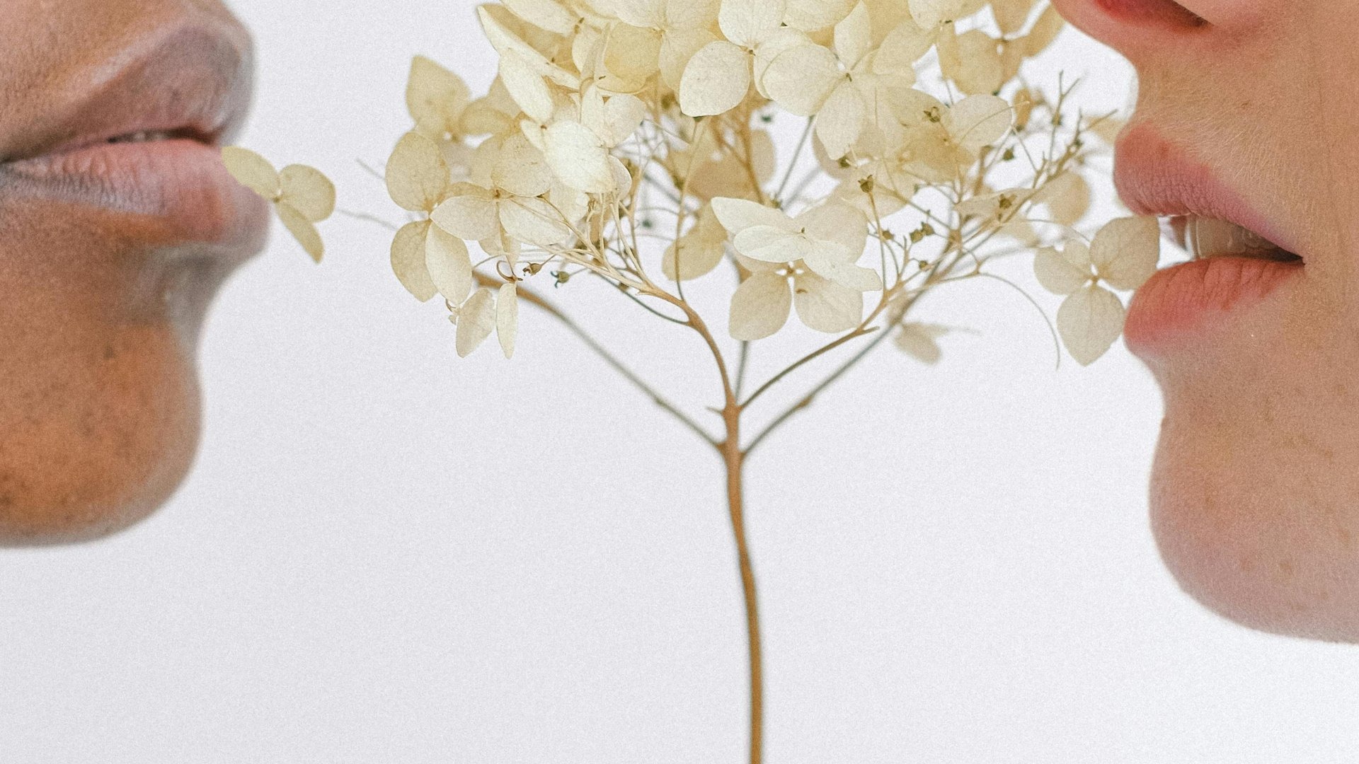 an abstract photo of a curved building with a blue sky in the background