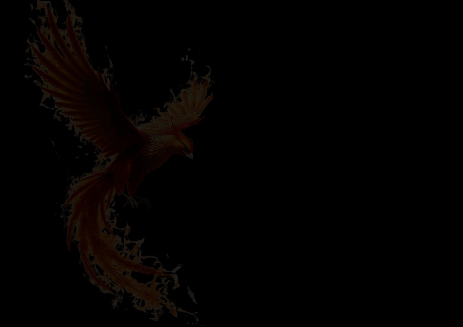 sun light passing through green leafed tree