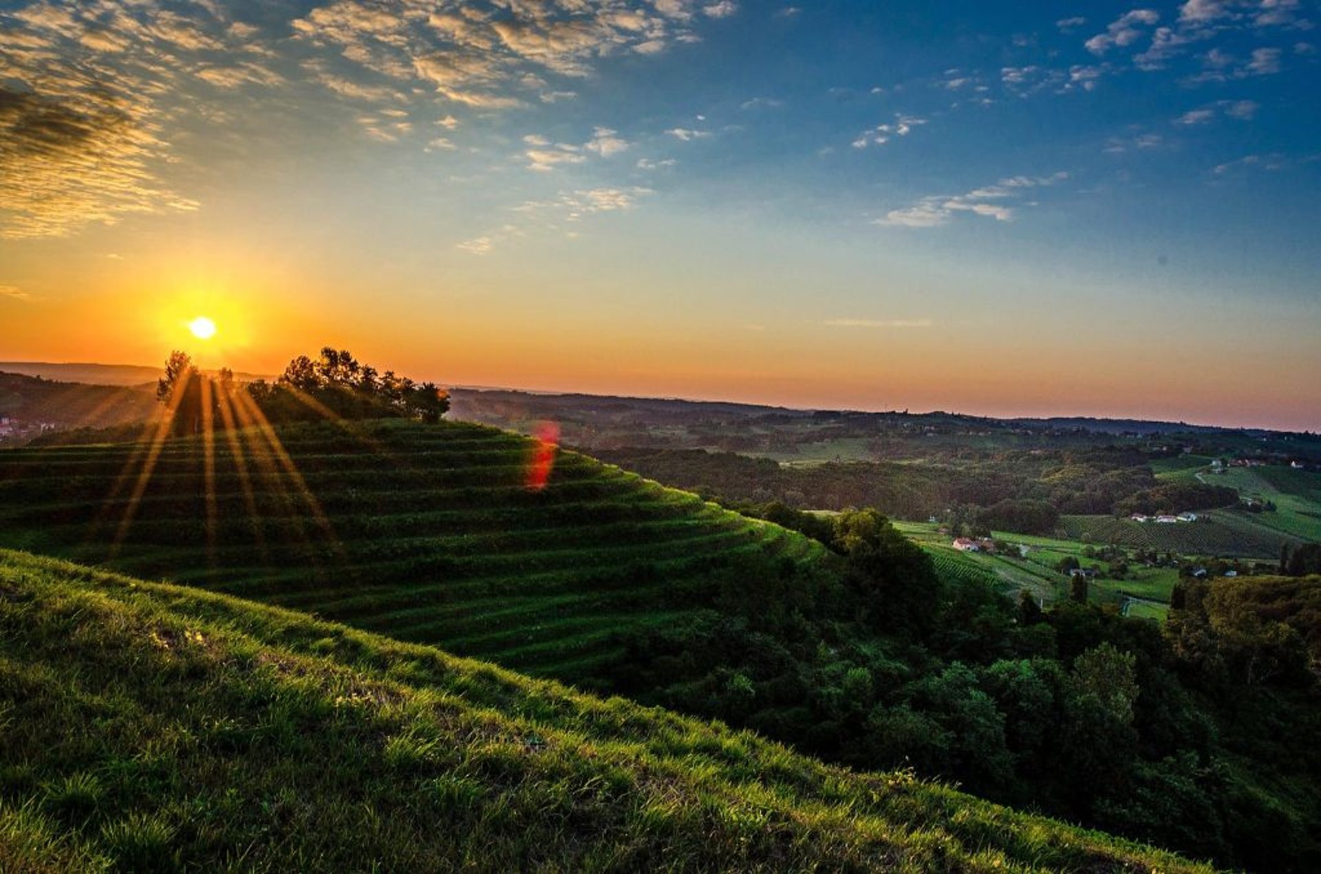 Vinogradi na Madjerkinom bregu, Strigova